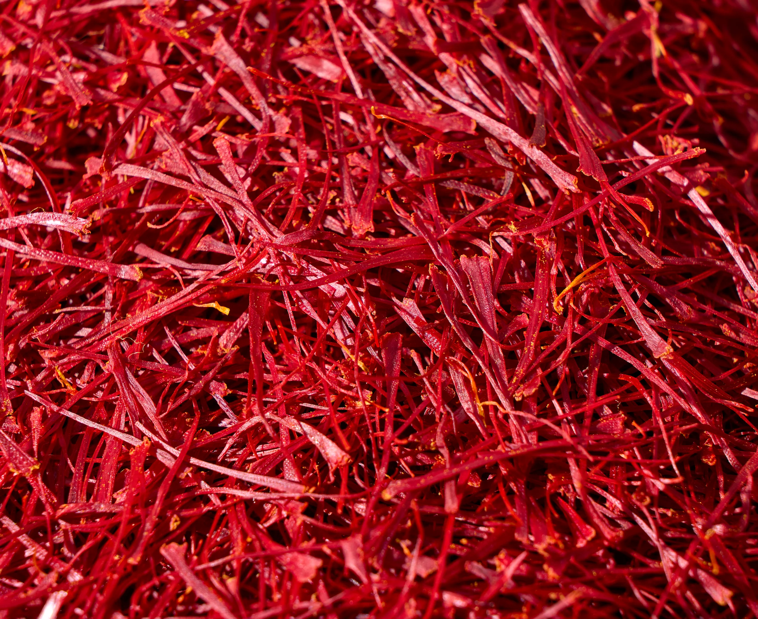 2 Grams (0.07 Oz) Heray Afghan Saffron Extra Class Premium Super Negin Quality - Image 5