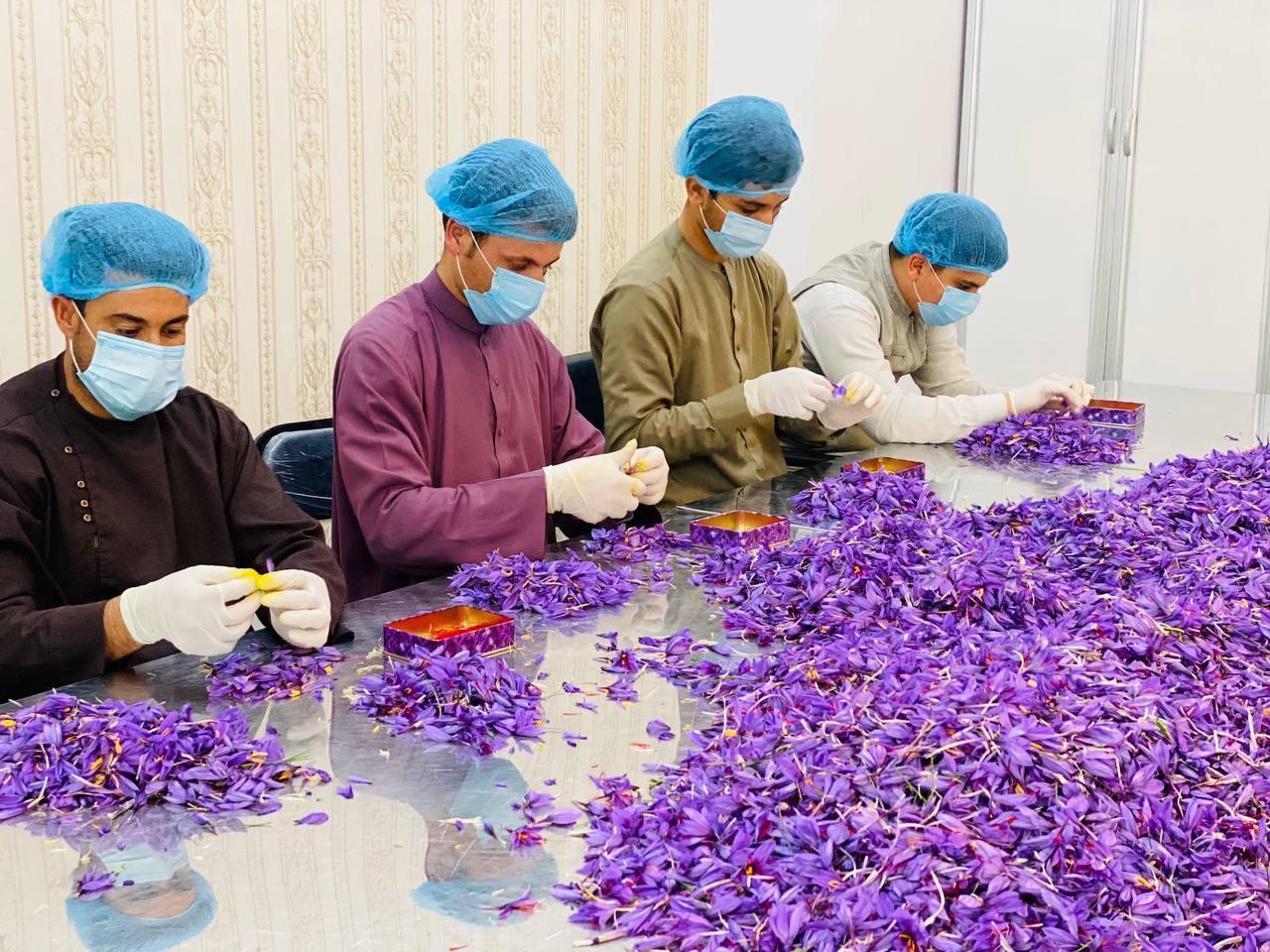 4 Grams (0.14 Oz) Heray Afghan Saffron Extra Class Premium Super Negin Quality - Image 14