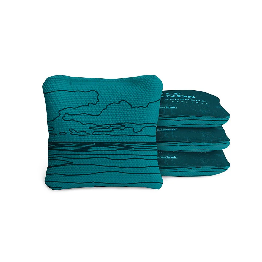 4-in Travel Dual-Sided Cornhole Bags | National Parks Collection - Image 66