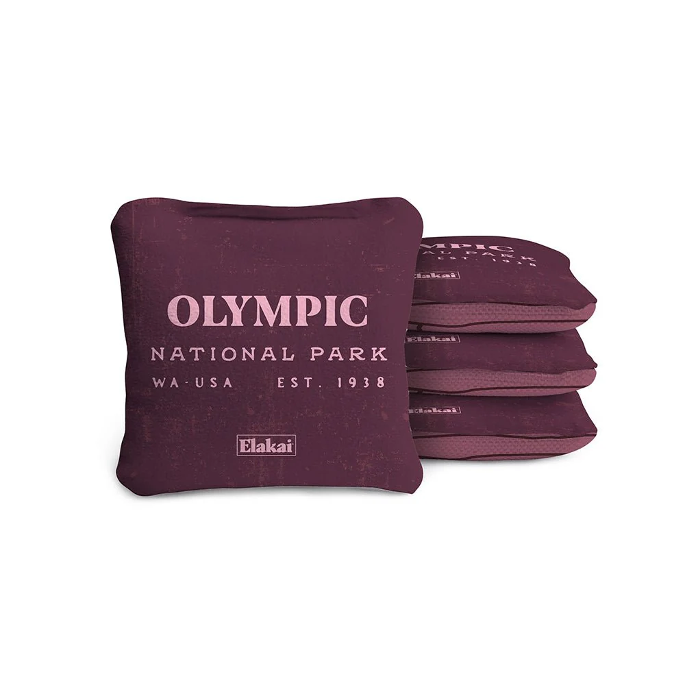 4-in Travel Dual-Sided Cornhole Bags | National Parks Collection - Image 89