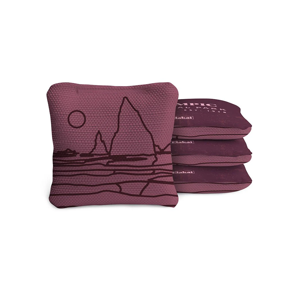 4-in Travel Dual-Sided Cornhole Bags | National Parks Collection - Image 90