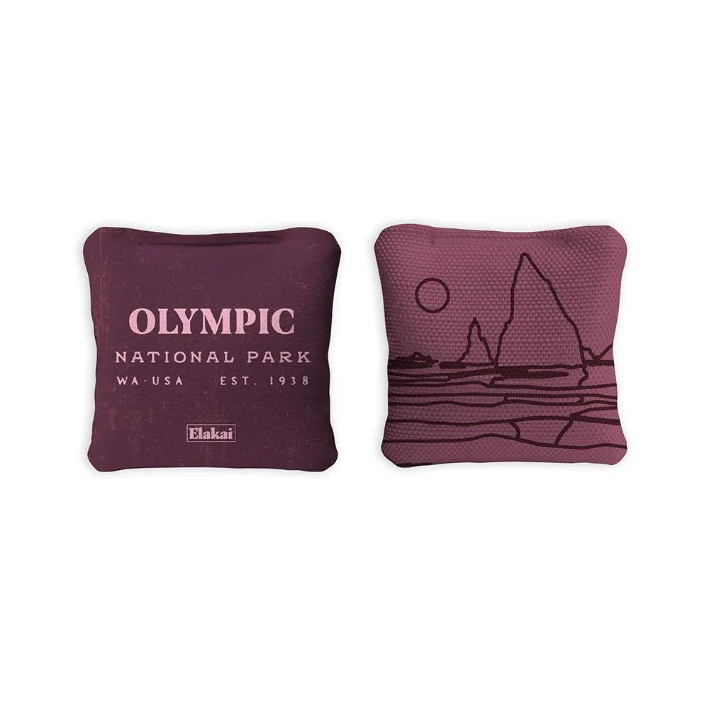 4-in Travel Dual-Sided Cornhole Bags | National Parks Collection - Image 91