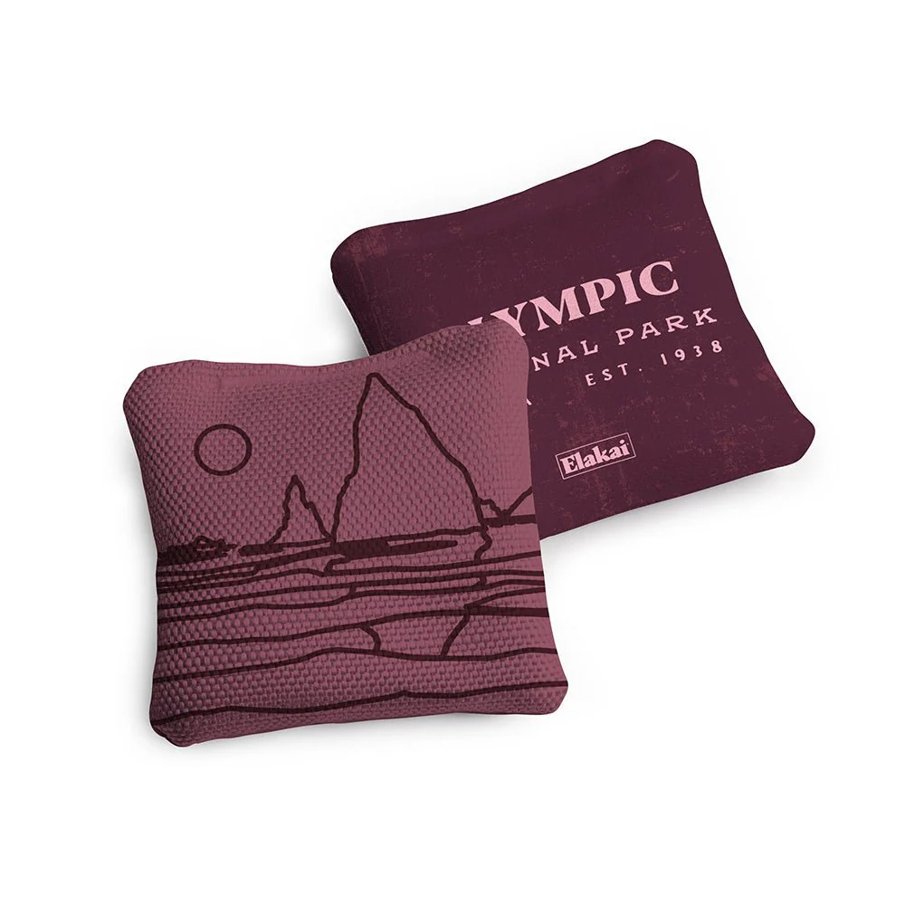 4-in Travel Dual-Sided Cornhole Bags | National Parks Collection - Image 92