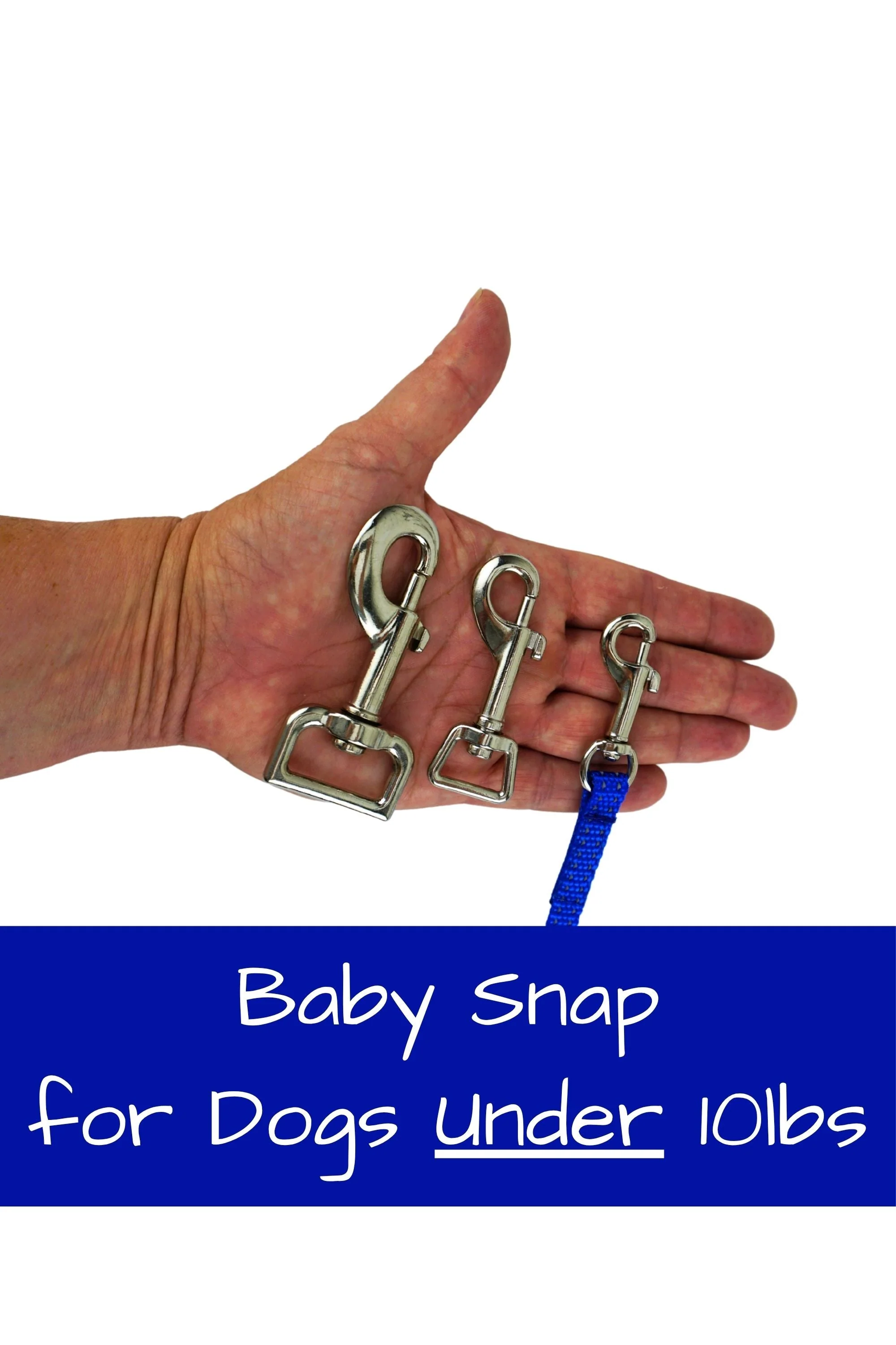 Adjustable Hands Free Leashes for Extra Small Dogs - Image 5
