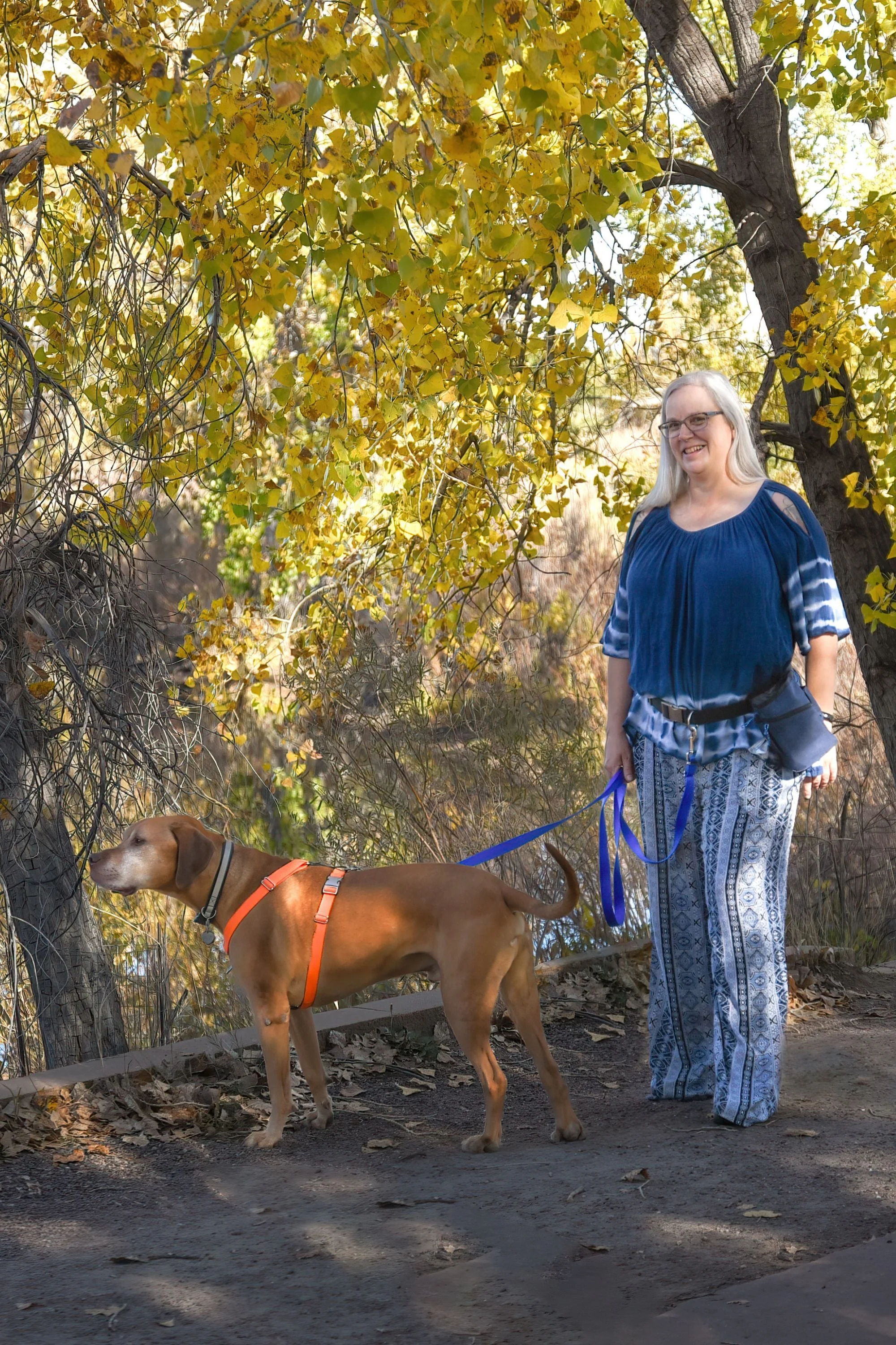 Adjustable Length Hands Free Dog Leash - Image 2