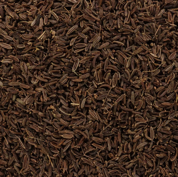 Afghanistan Wild Mountain Cumin - Image 2