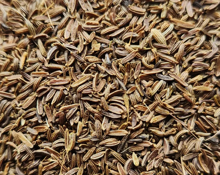 Afghanistan Wild Mountain Cumin - Image 3