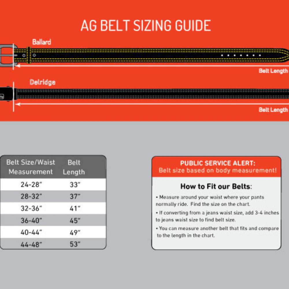 Alchemy Goods- Delridge Belt - Image 3
