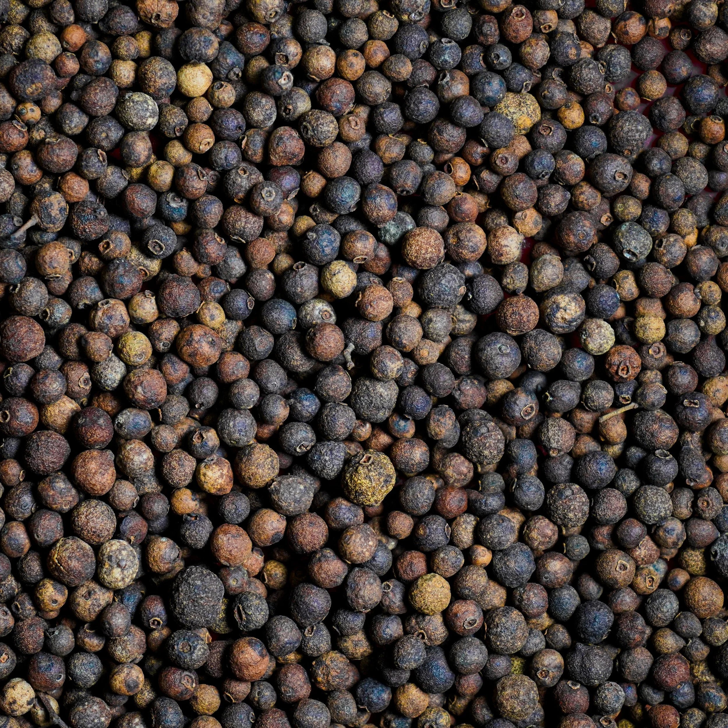 Allspice, AKA Jamaica pepper, Myrtle Pepper, Dried berry of Pimenta Dioica - Image 2