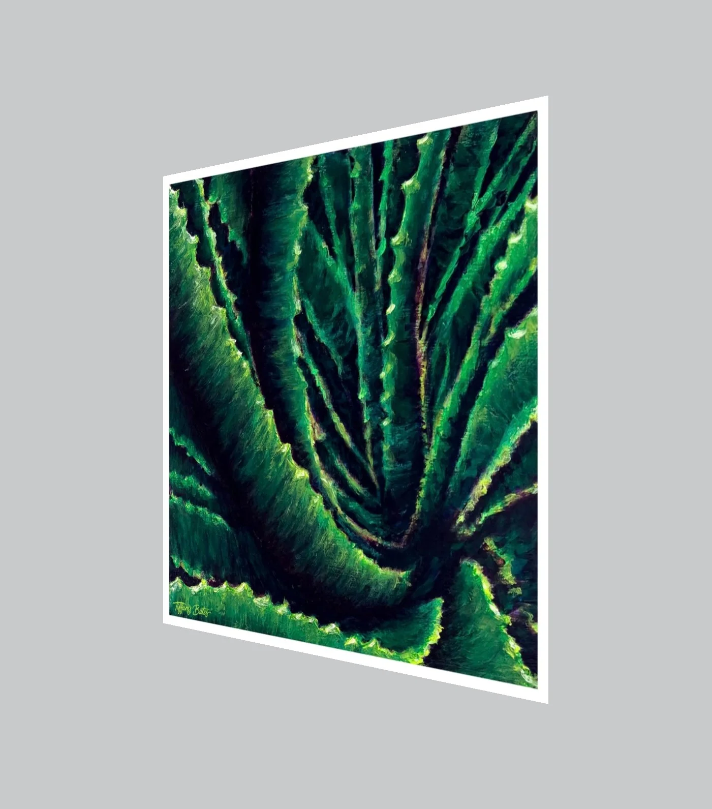 Aloe Confluence - Fine Art Print - Multiple Sizes - Image 2