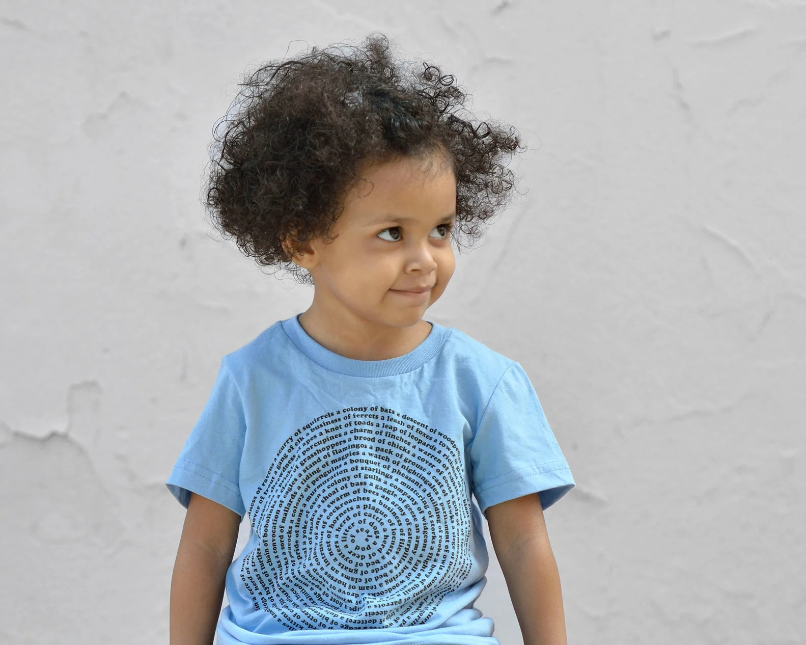 Animal Collective Group Nouns Kids Tee Shirt - Image 8