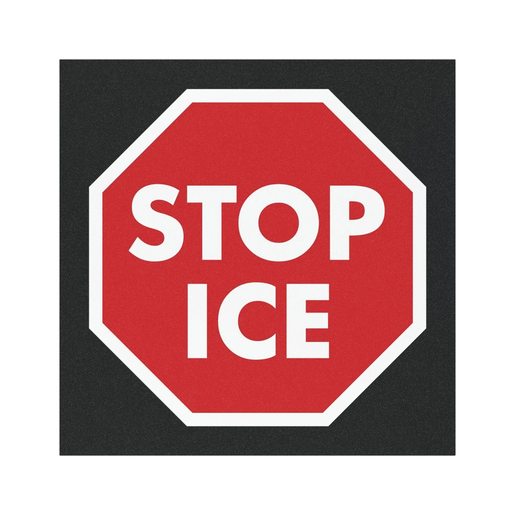 Anti-ICE Magnet - Stop ICE Car Magnet - Image 3