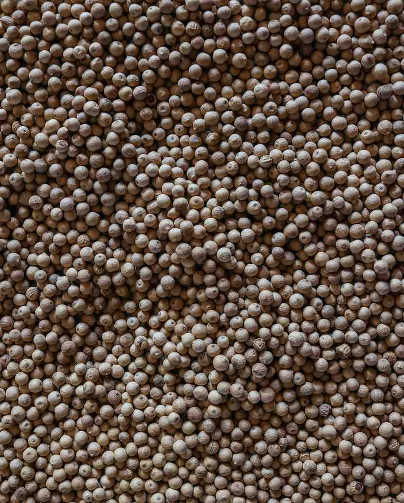 Aranya White Pepper - Image 2