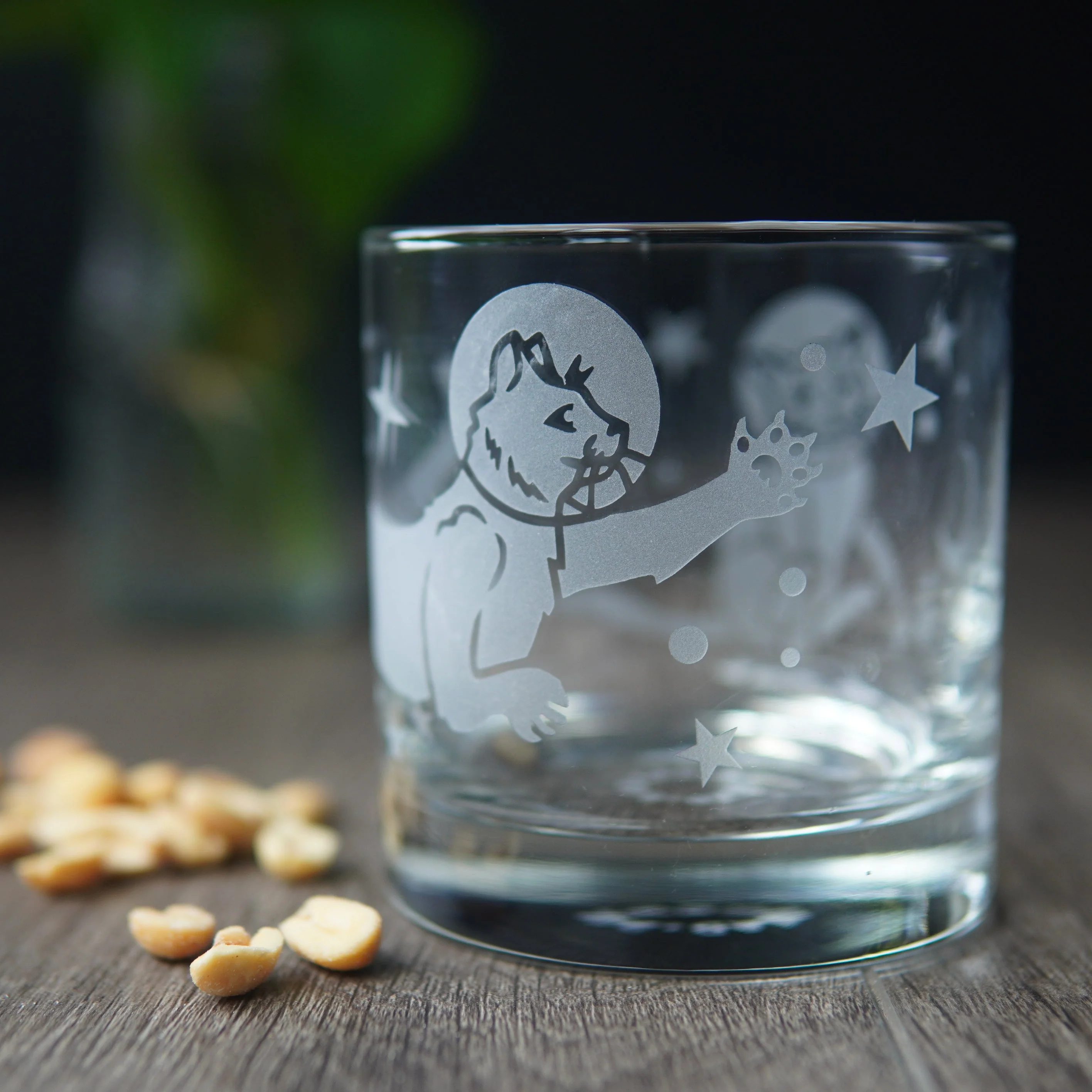 Astronaut Space Cat Lowball Glass - etched cocktail glassware - Image 5