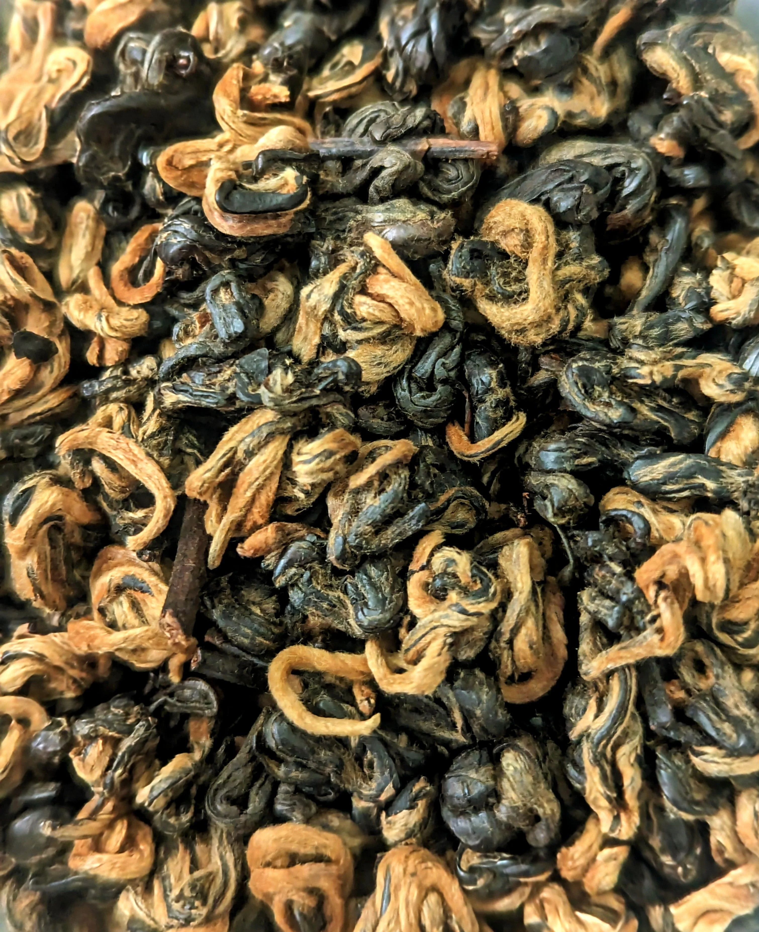 Black Gold - Bi Luo Chun - Image 2