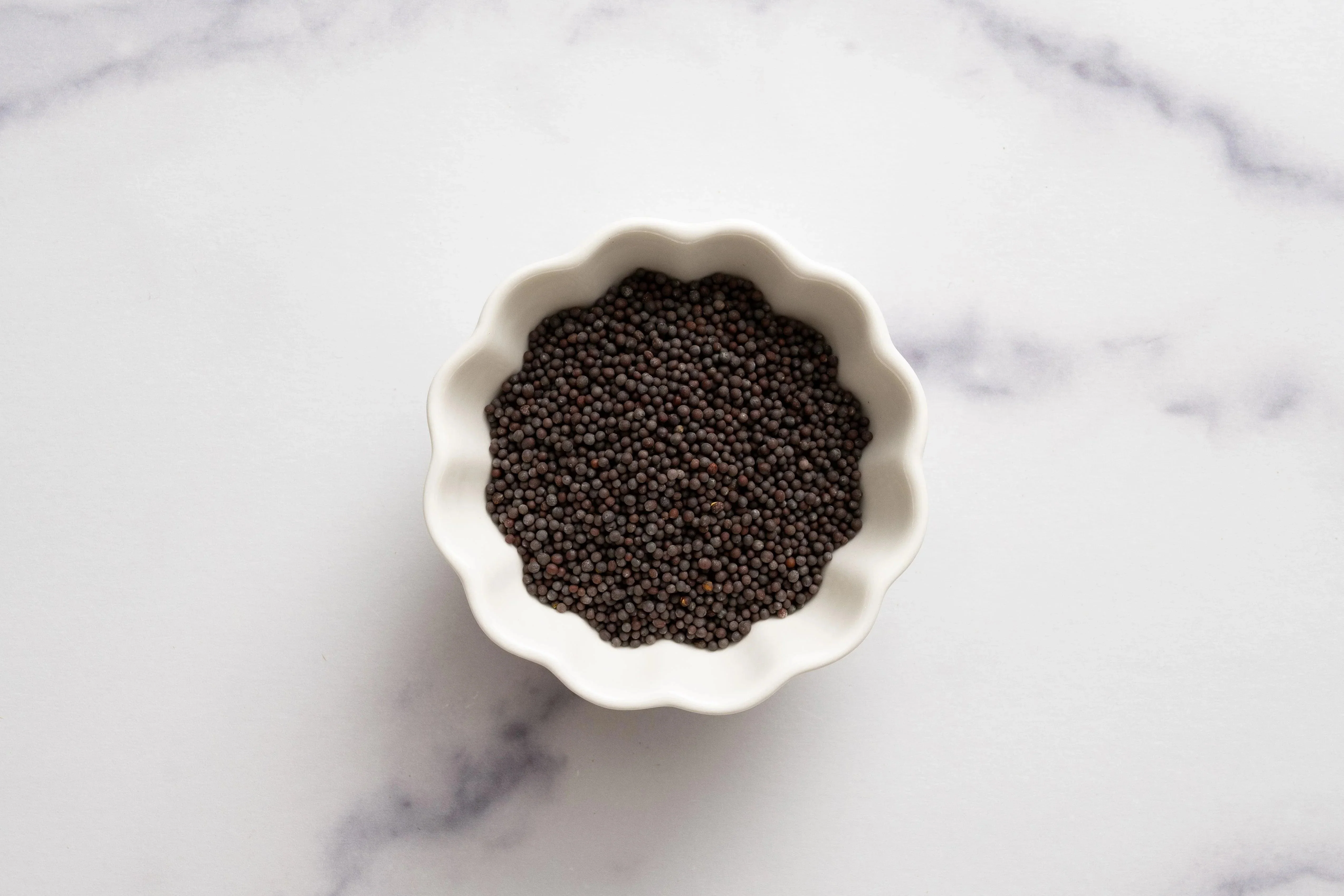 Black Mustard Seed 1.8 Oz (51 gr) - Image 2