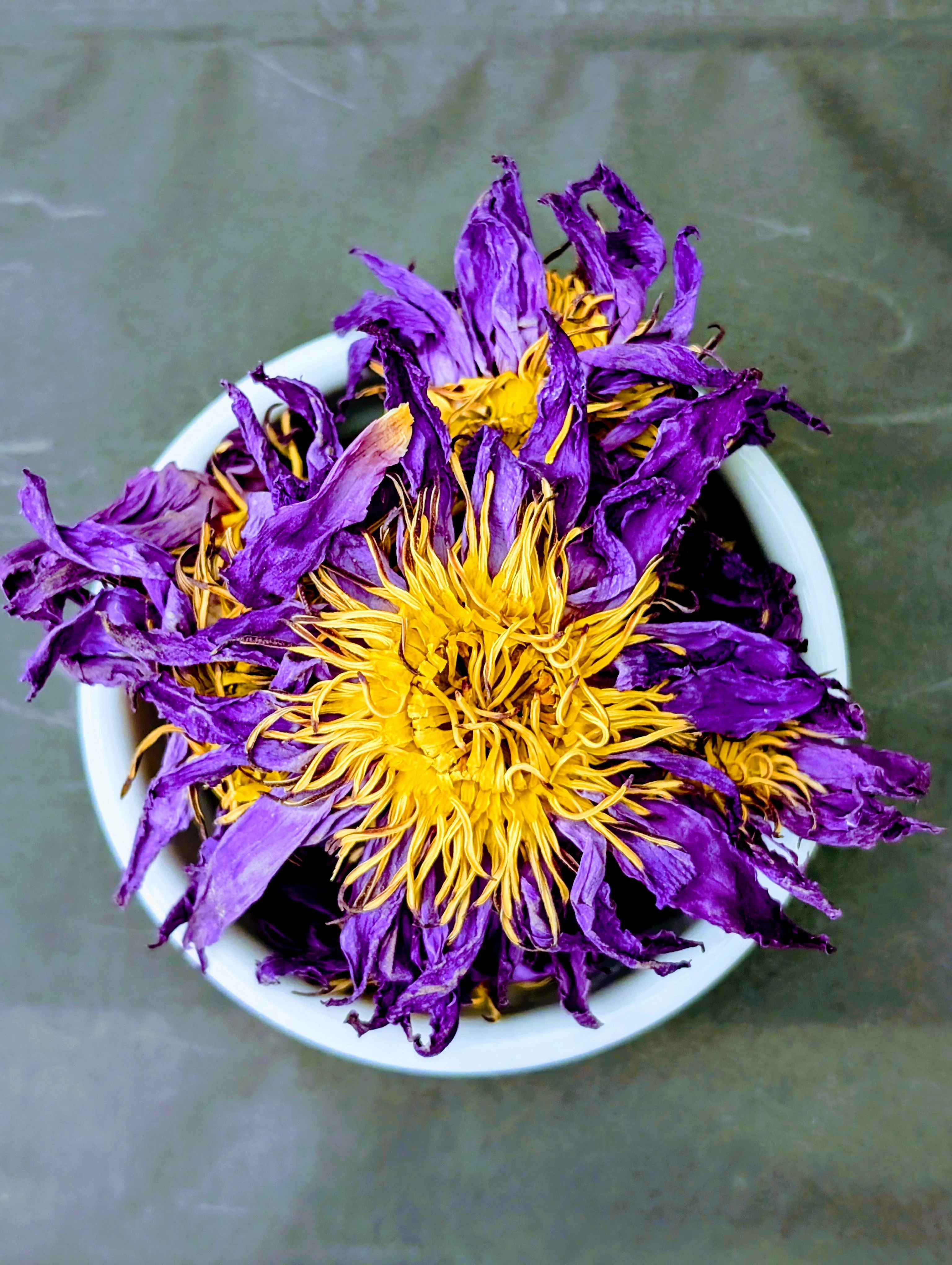 Blue Lotus Flower - Image 2