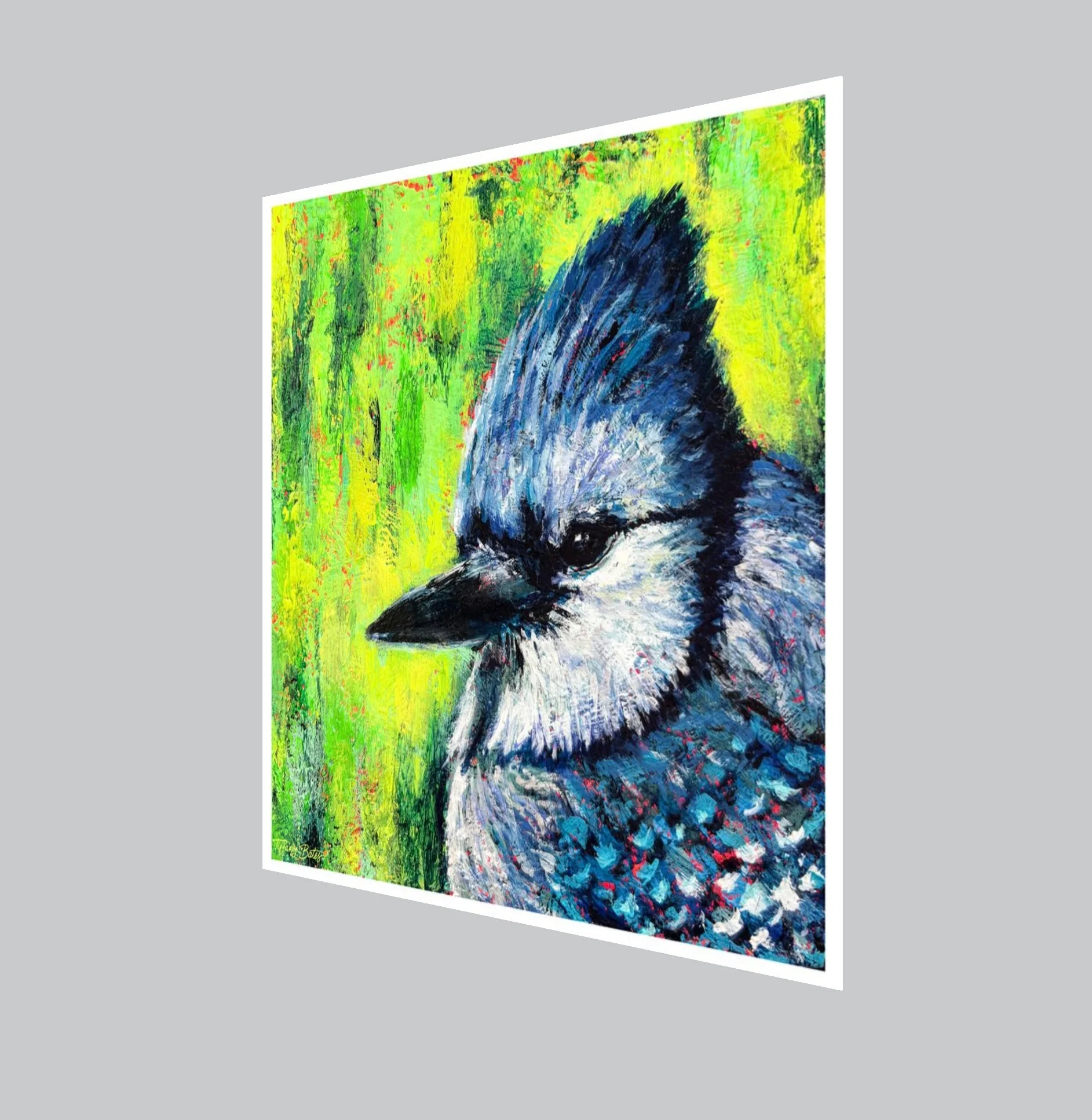 Bluejay’s Gaze - Fine Art Print - Multiple Sizes - Image 2