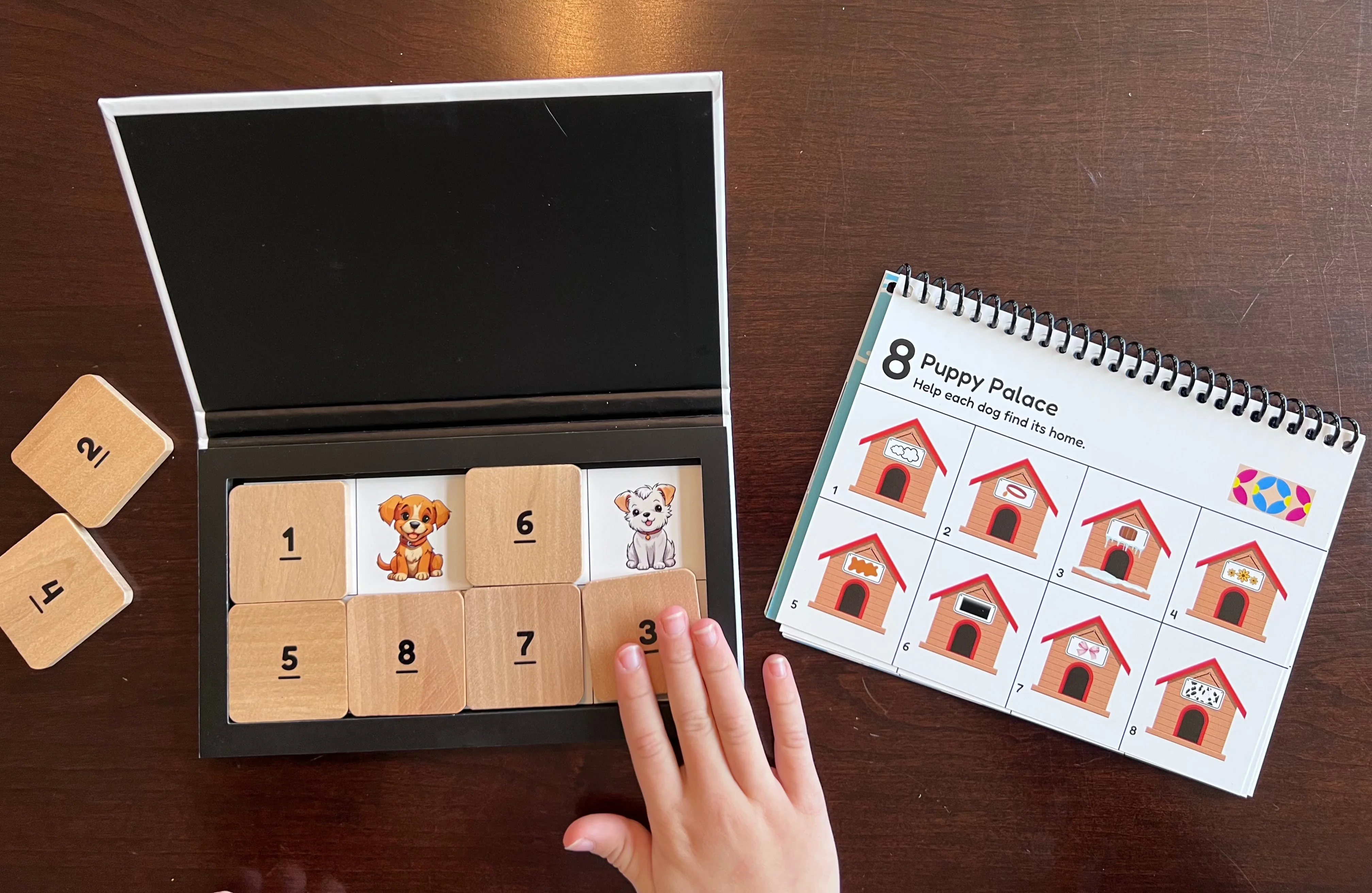 BrainBuds | Grade 1 | Fun Foundations Set - Image 2