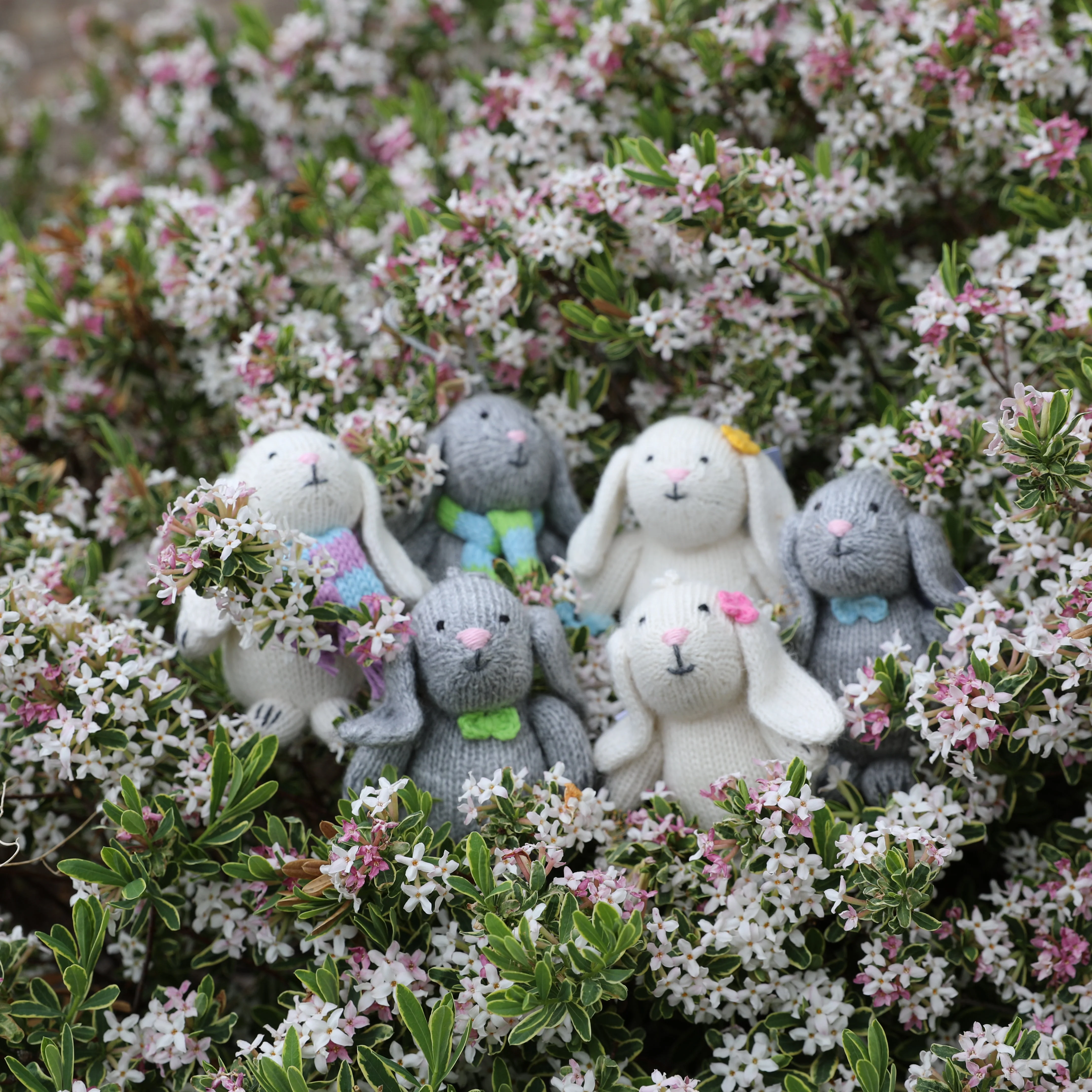Bunny with Pastel Accessory Ornament- set of 6 - Image 3
