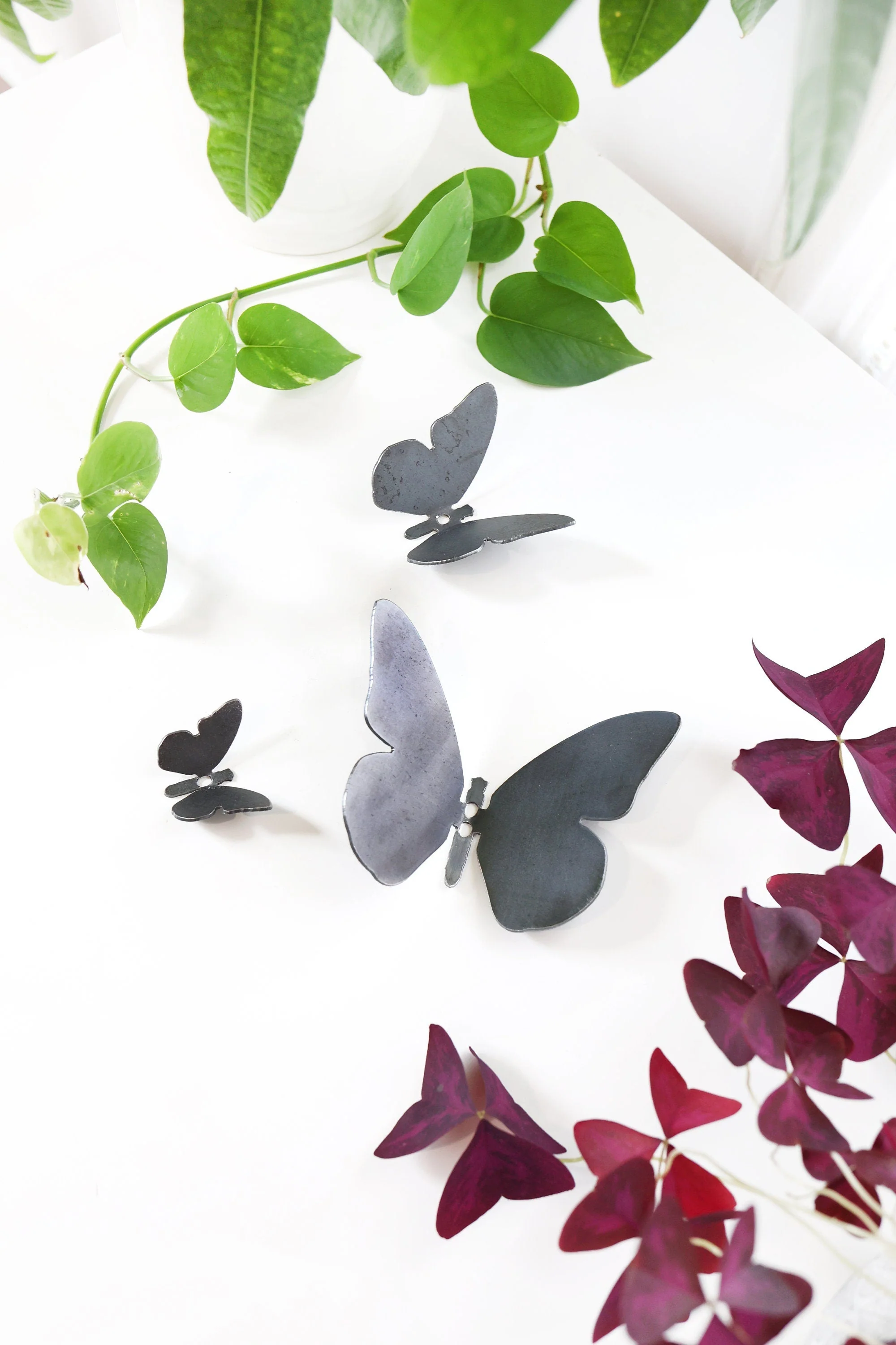Butterfly Wall Hook - Image 2