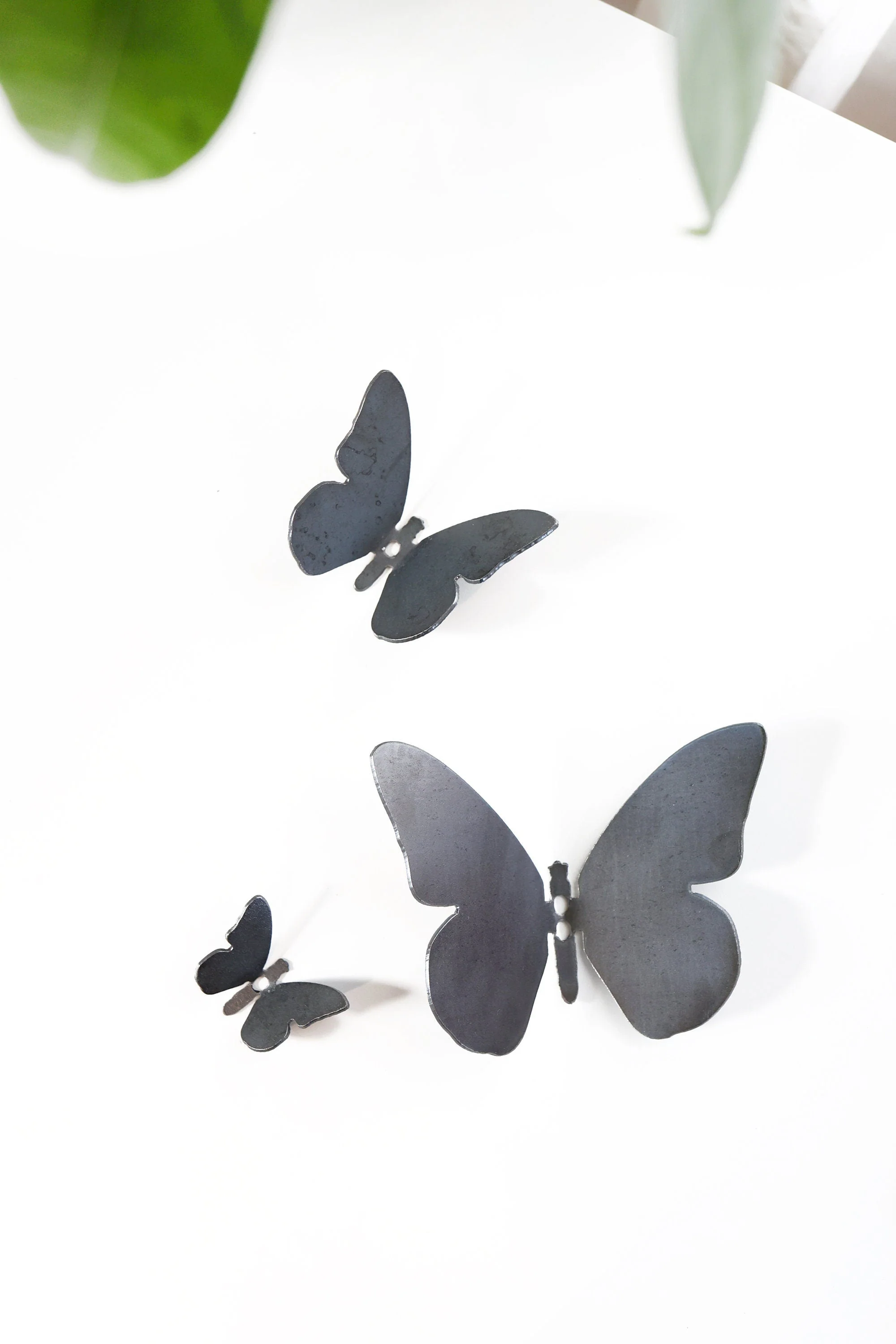Butterfly Wall Hook - Image 4