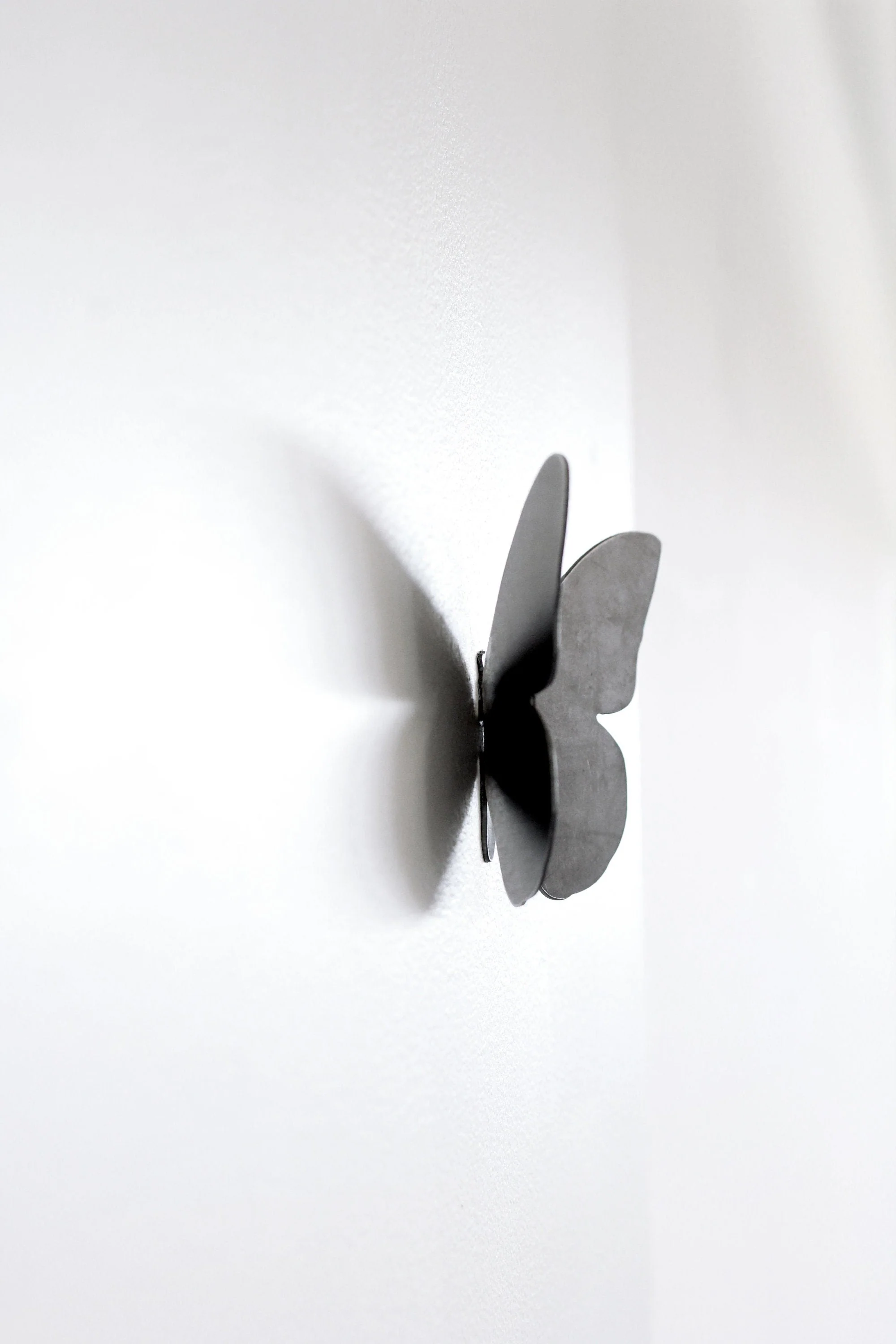 Butterfly Wall Hook - Image 8