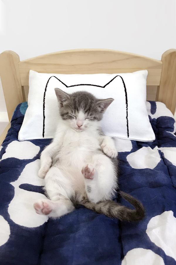 Cat Kicker Bed Pillow Catnip Kicker Toy - Image 8