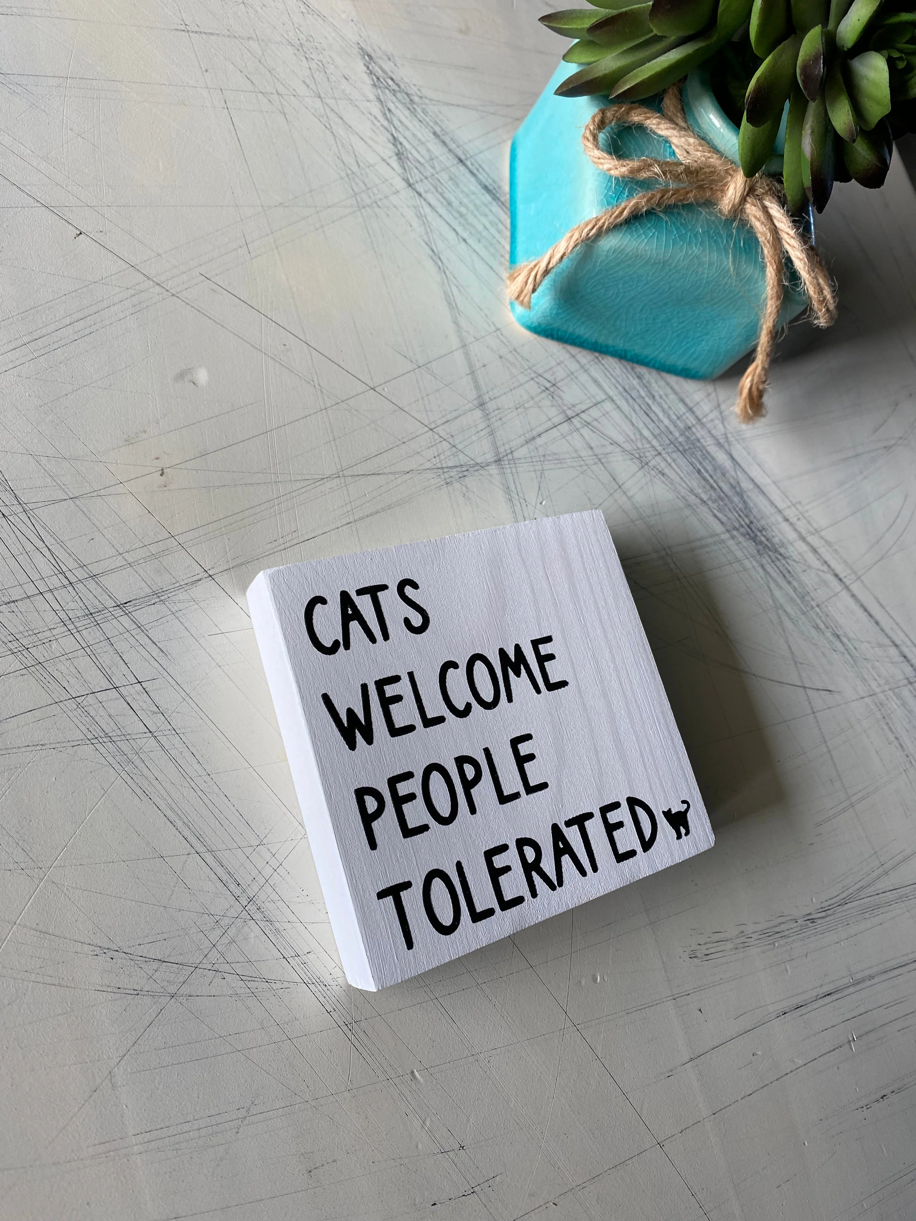 Cats welcome people tolerated - Image 2