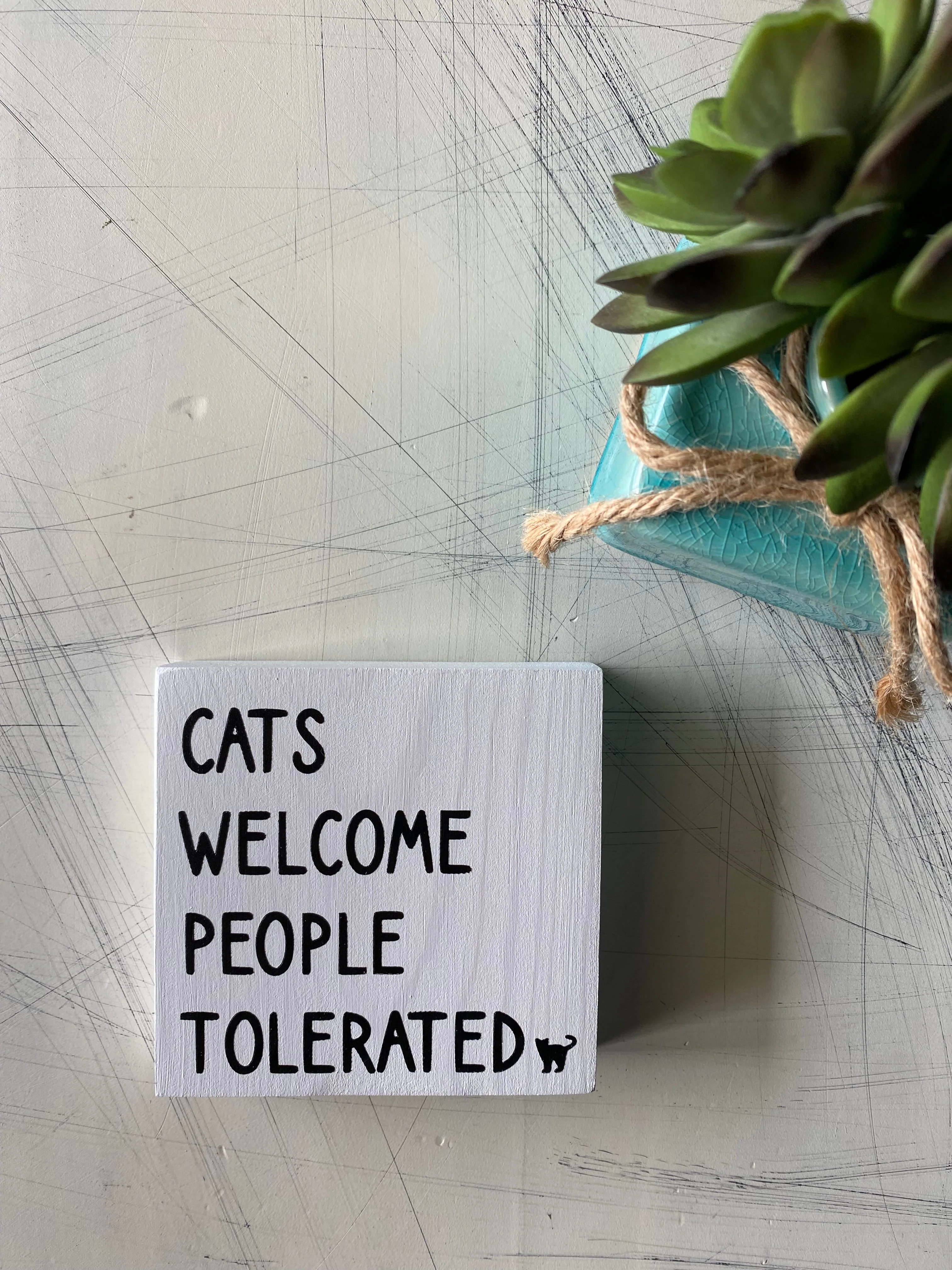 Cats welcome people tolerated - Image 3
