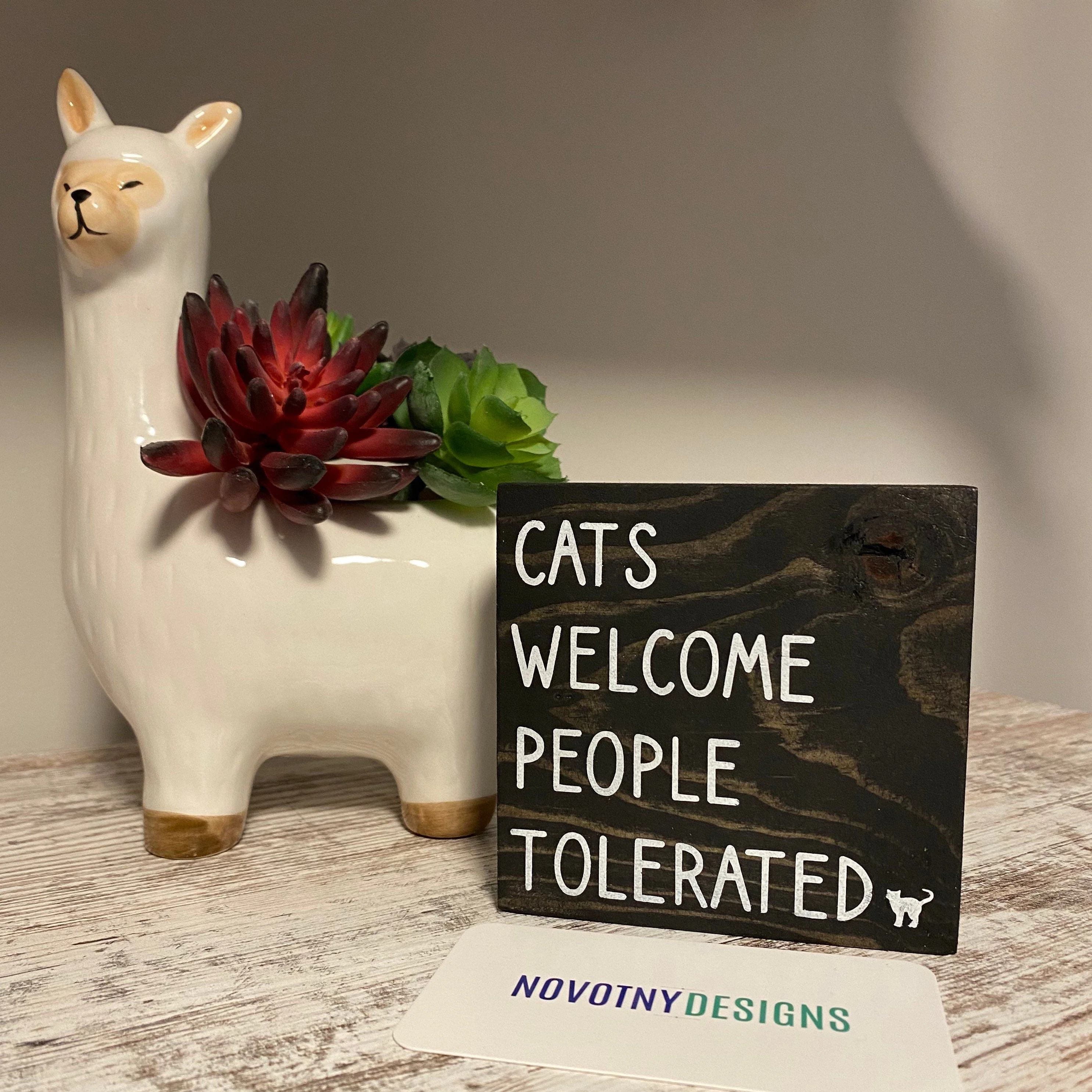 Cats welcome people tolerated - Image 4