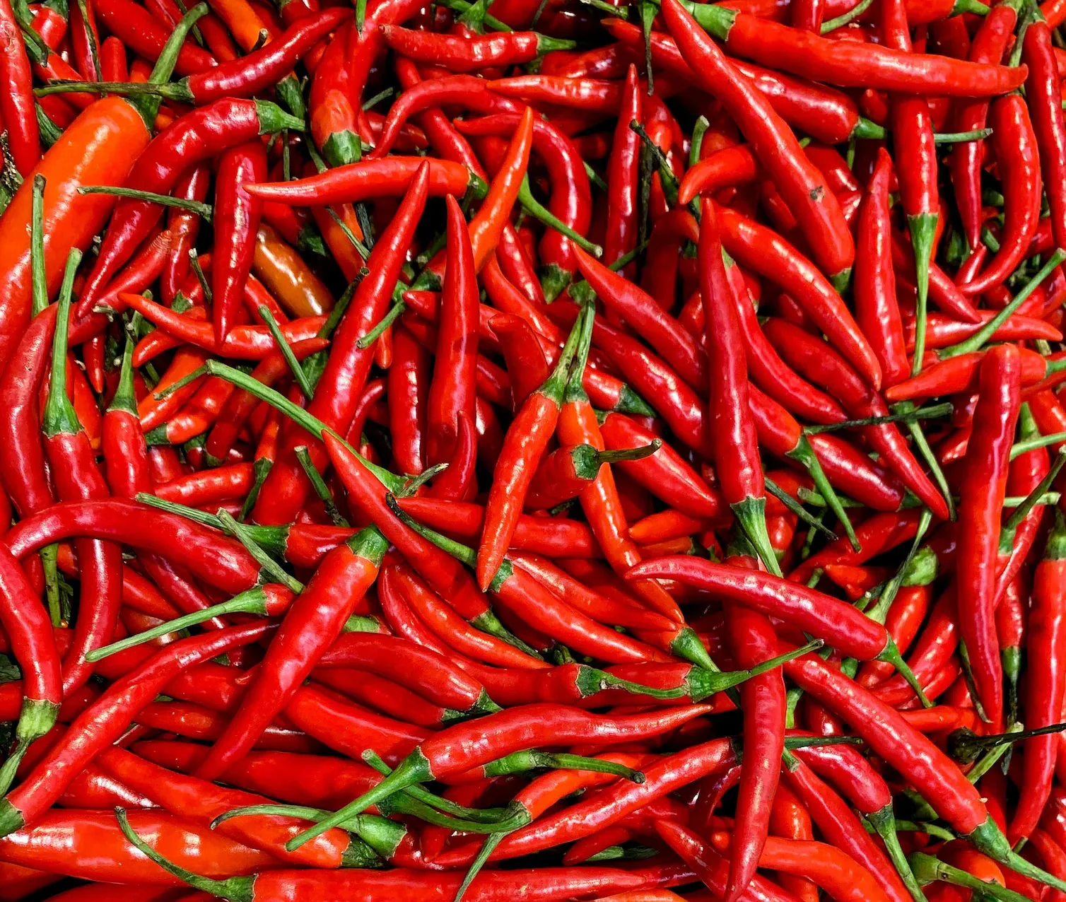 CHIHUAHUA CHILI POWDER 1.8 Oz - Image 4