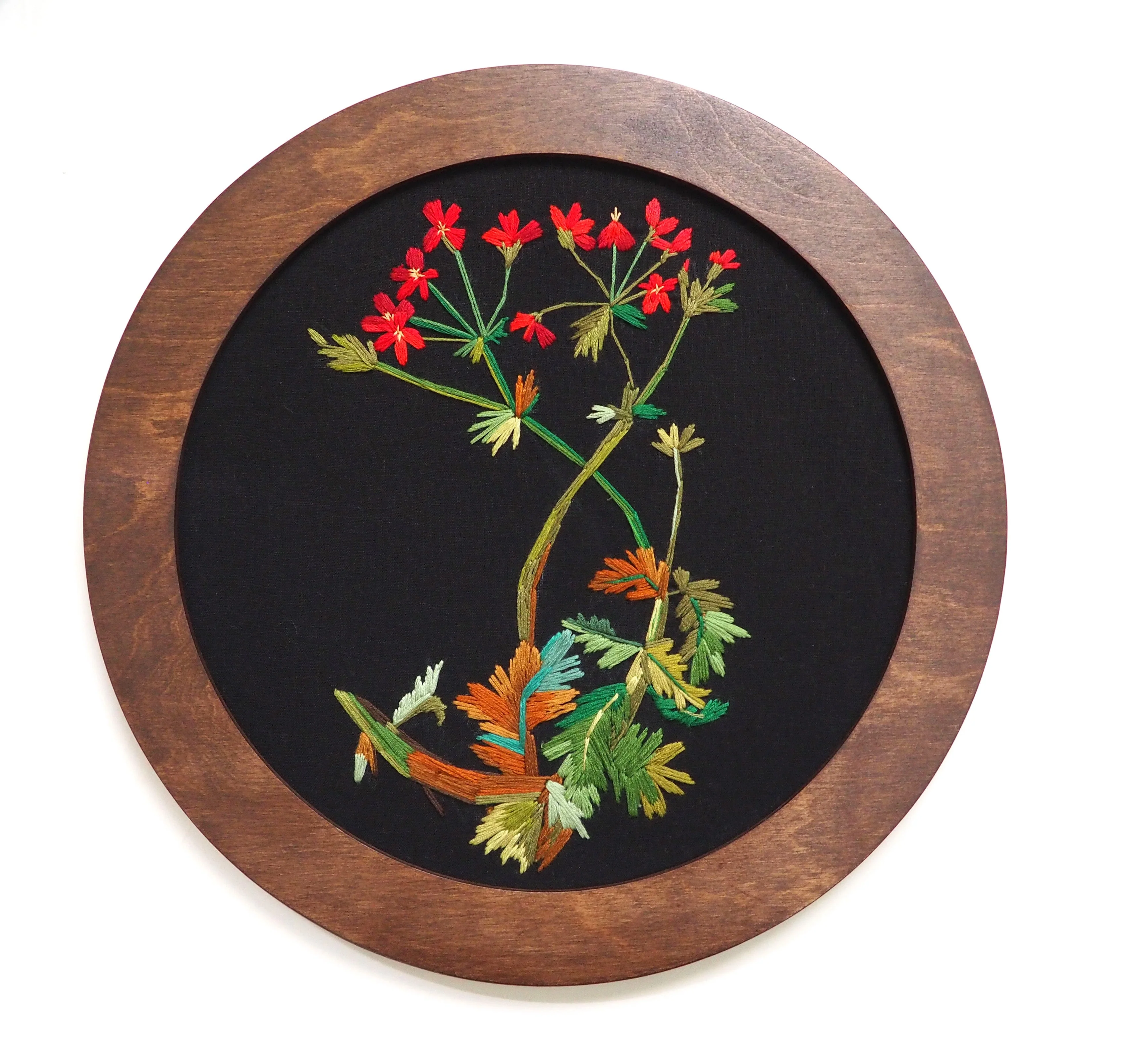 Circle Frames - Image 13