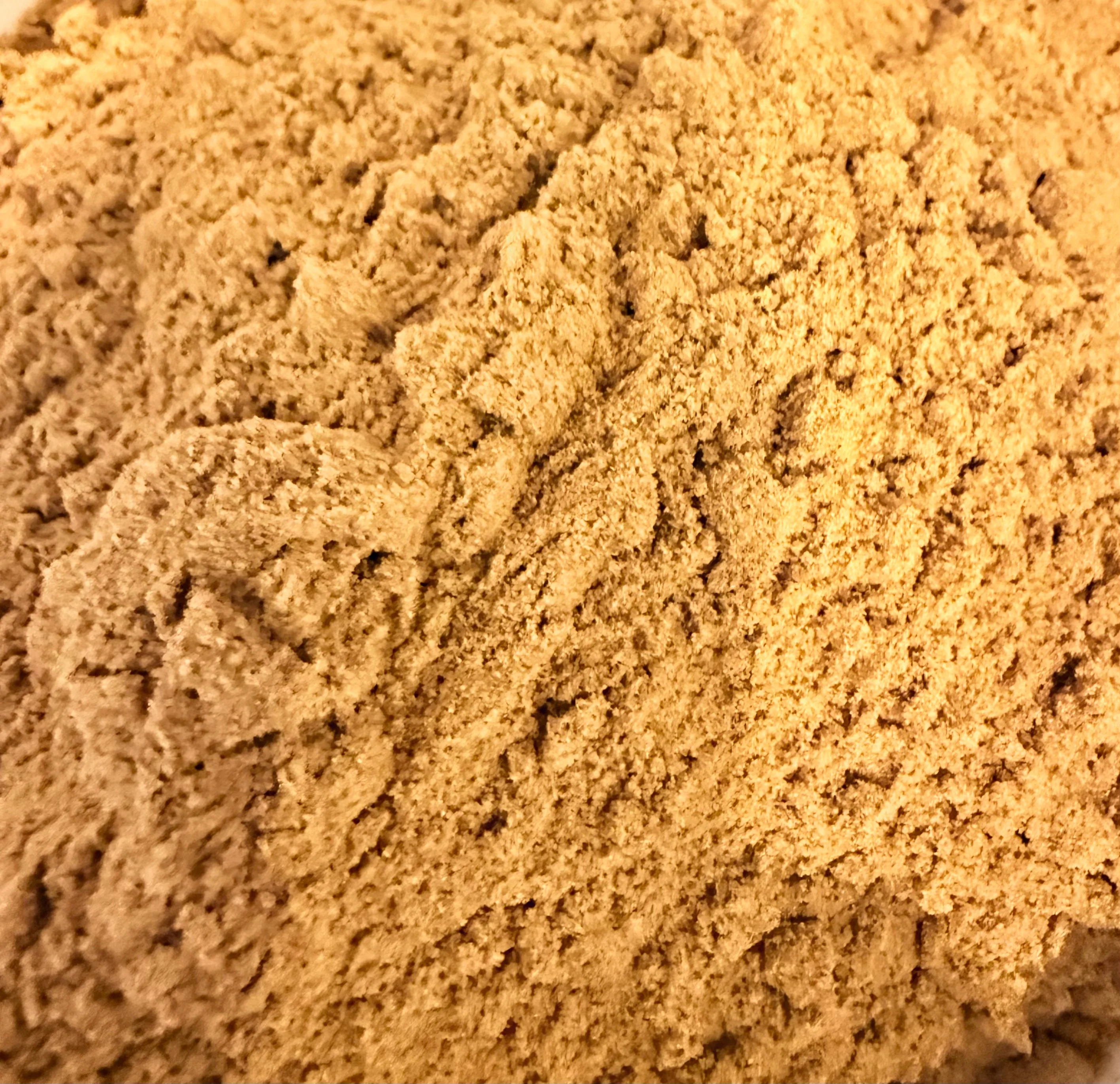 Cloud Forest Green Cardamom - Image 5