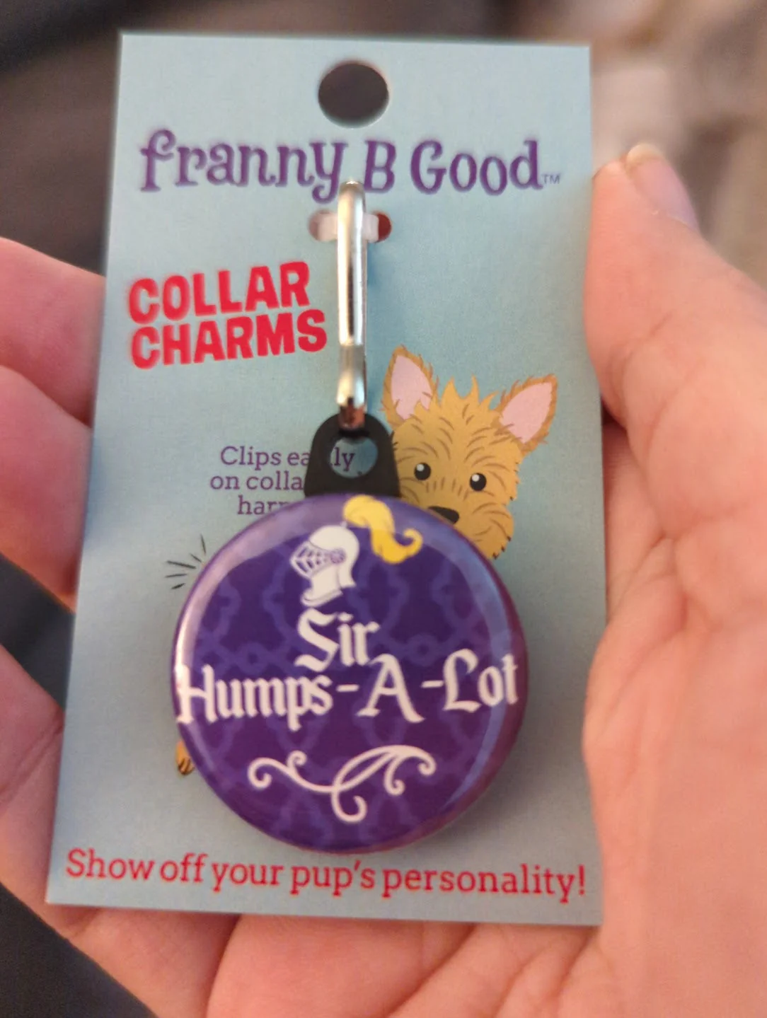 Collar Charm: Funny Sarcastic Dog & Cat Collar Charms - Image 11