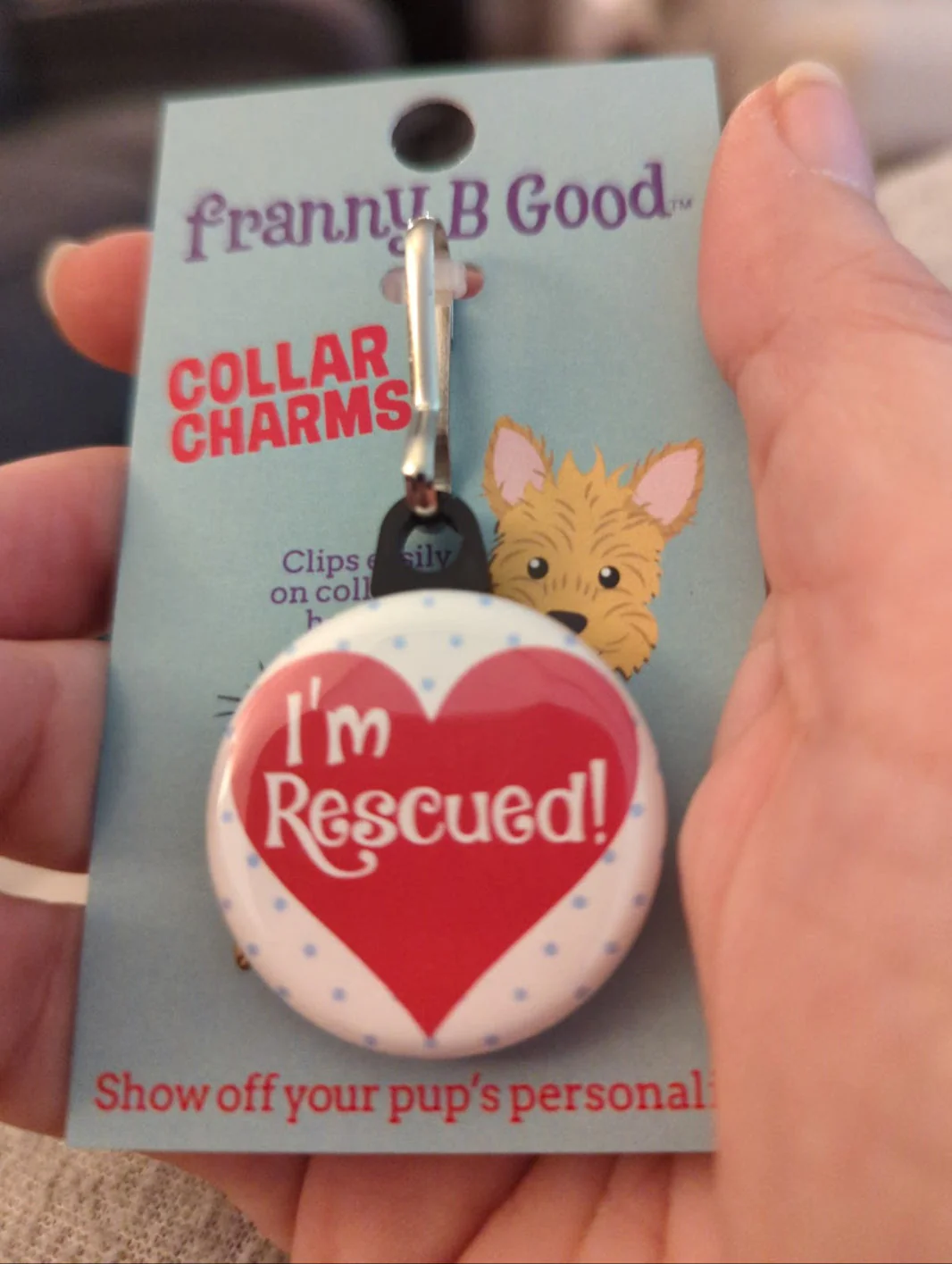 Collar Charm: Funny Sarcastic Dog & Cat Collar Charms - Image 3