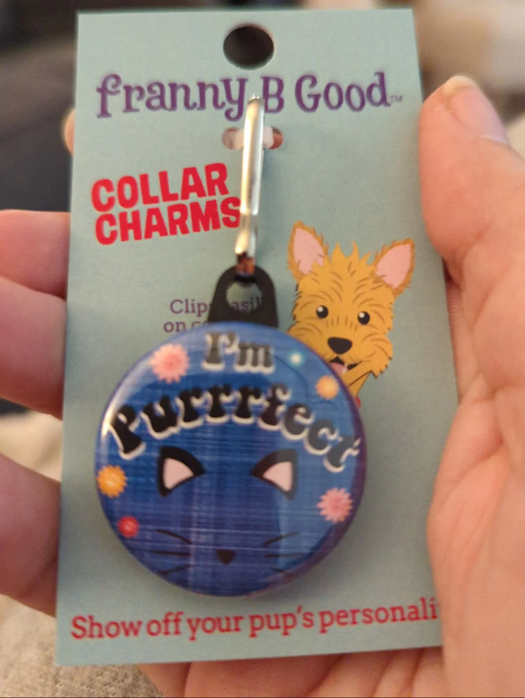 Collar Charm: Funny Sarcastic Dog & Cat Collar Charms - Image 5