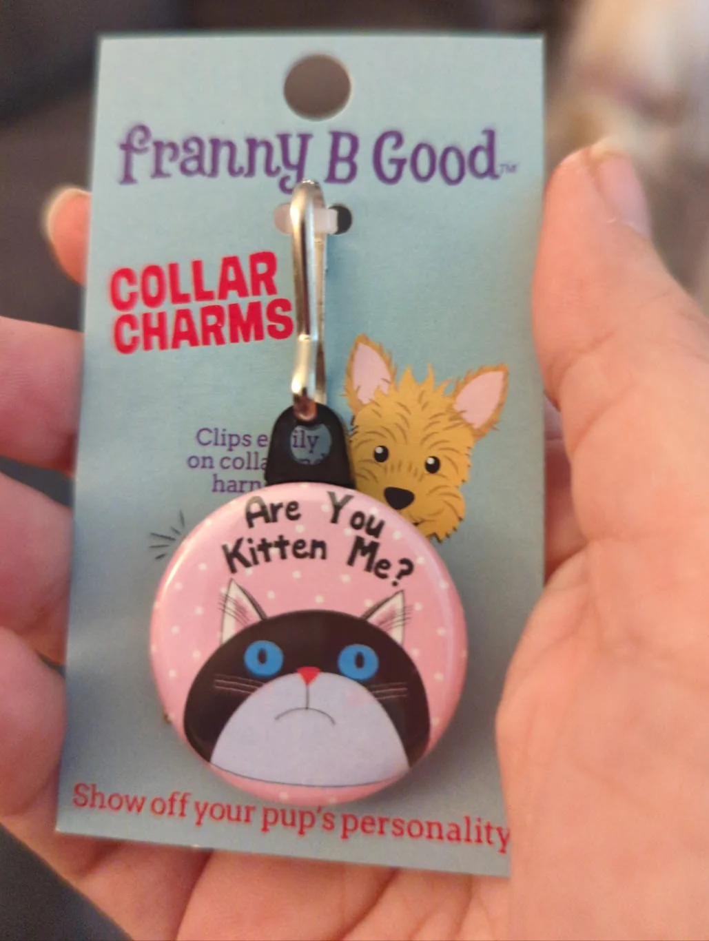 Collar Charm: Funny Sarcastic Dog & Cat Collar Charms - Image 6