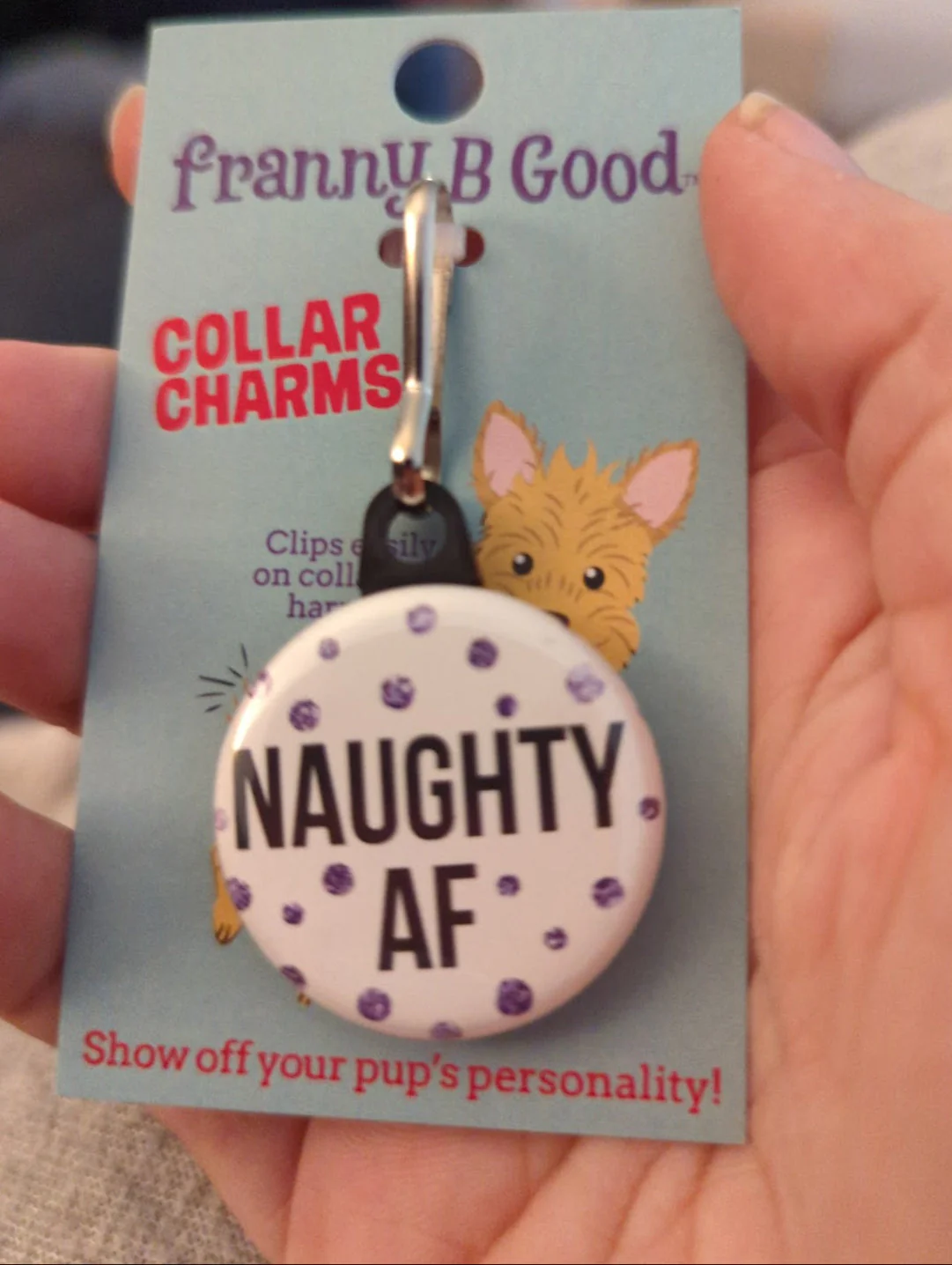 Collar Charm: Funny Sarcastic Dog & Cat Collar Charms - Image 7