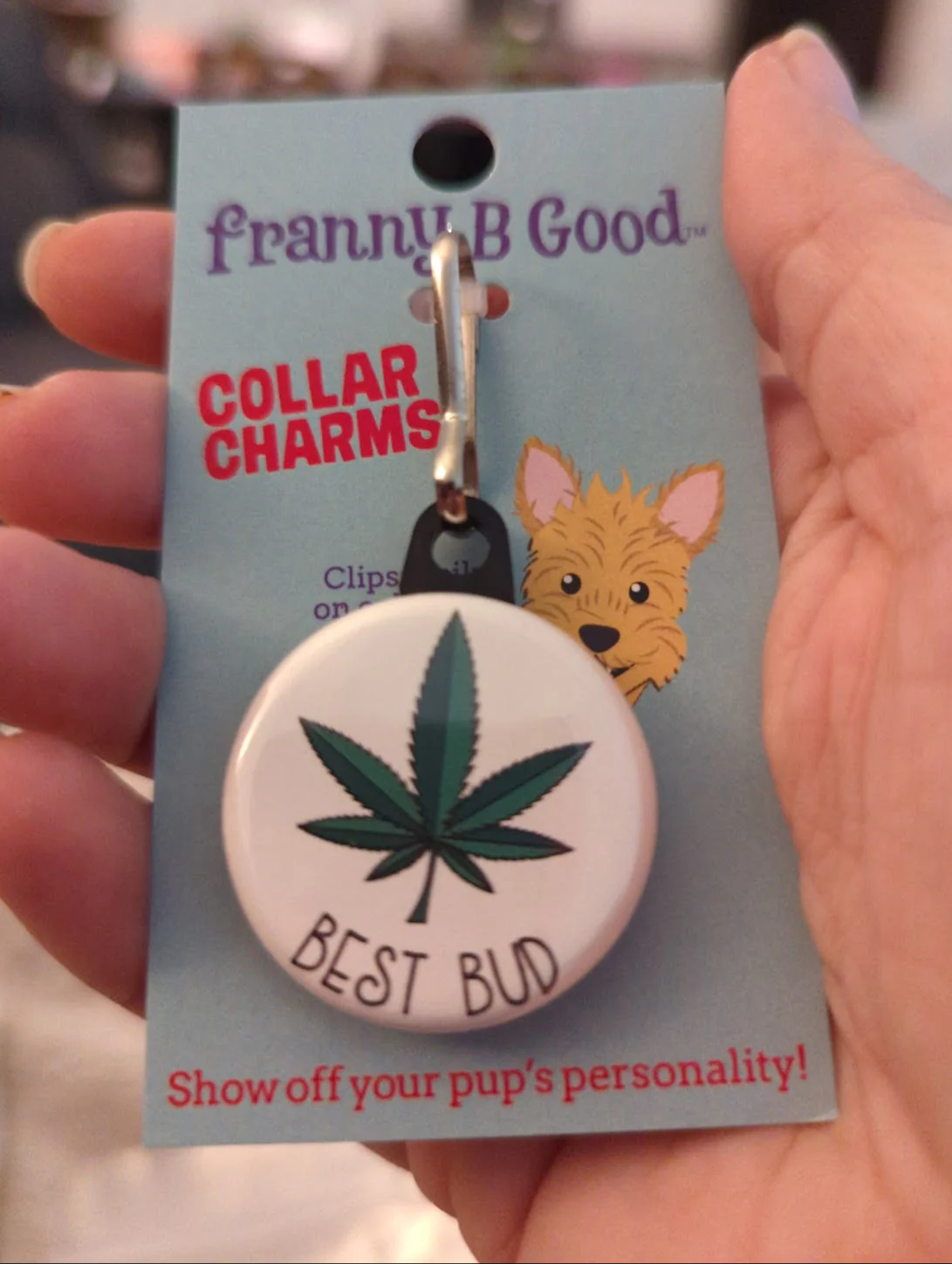Collar Charm: Funny Sarcastic Dog & Cat Collar Charms - Image 9