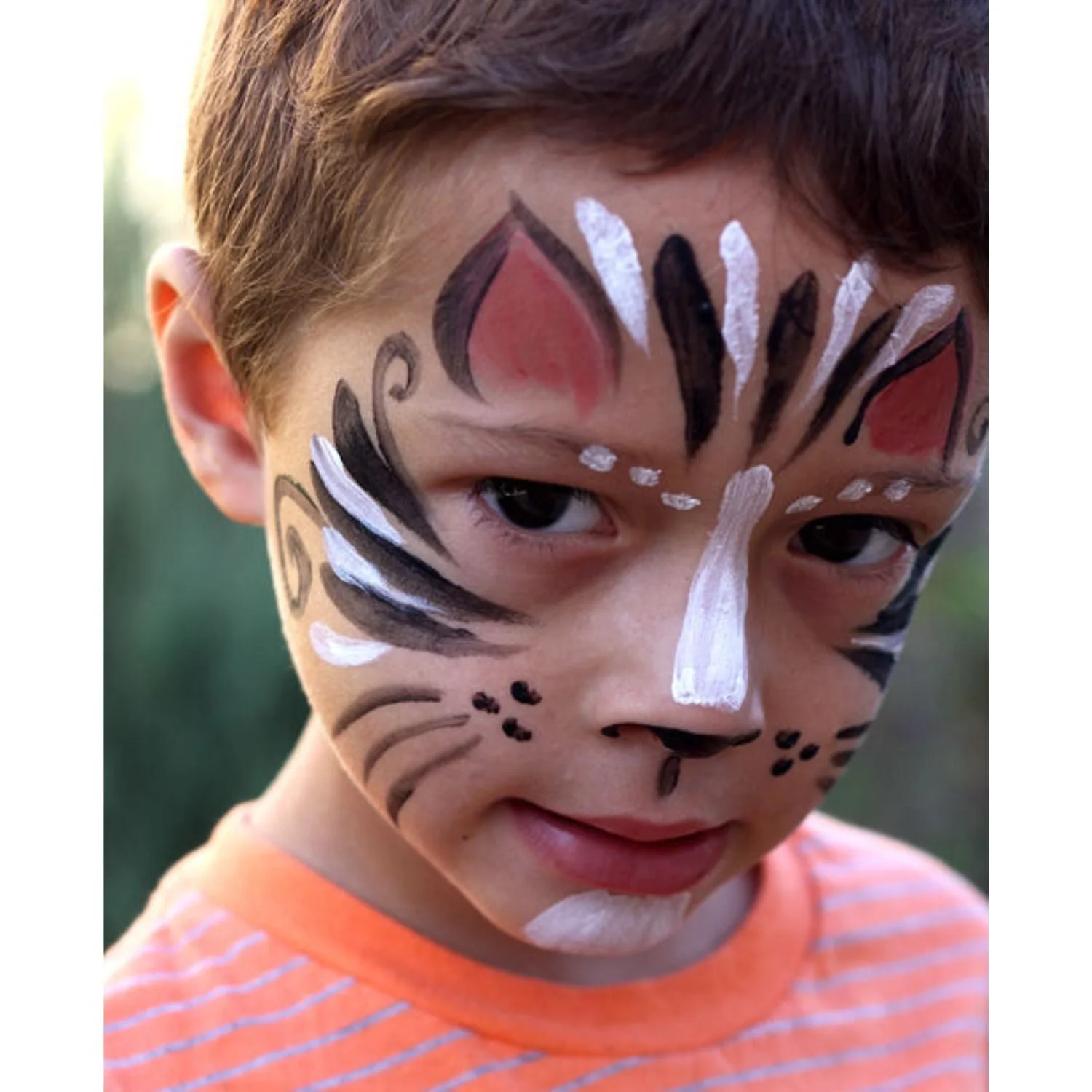 Complete Natural Face Paint Set - Image 3