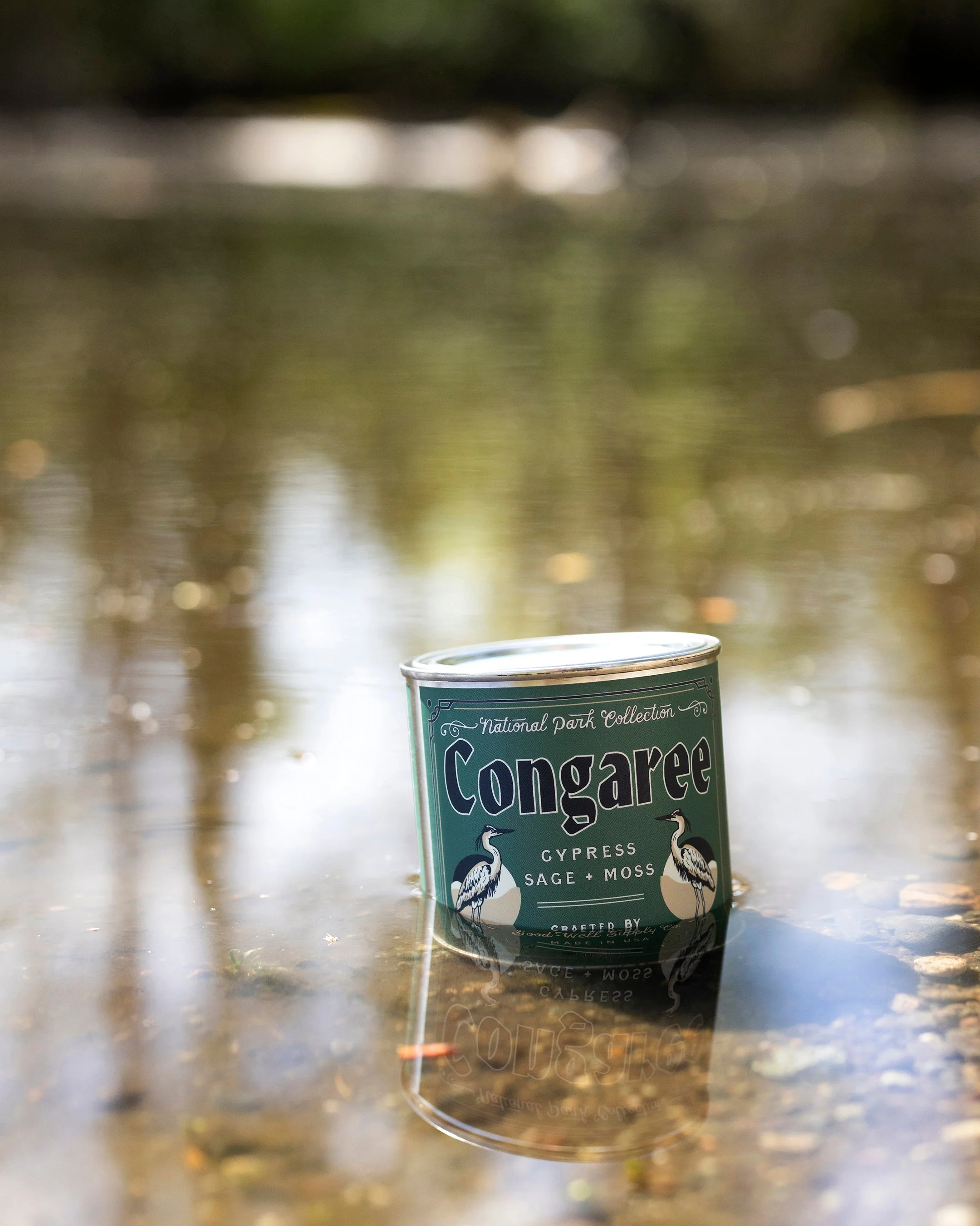Congaree National Park Candle - Image 2
