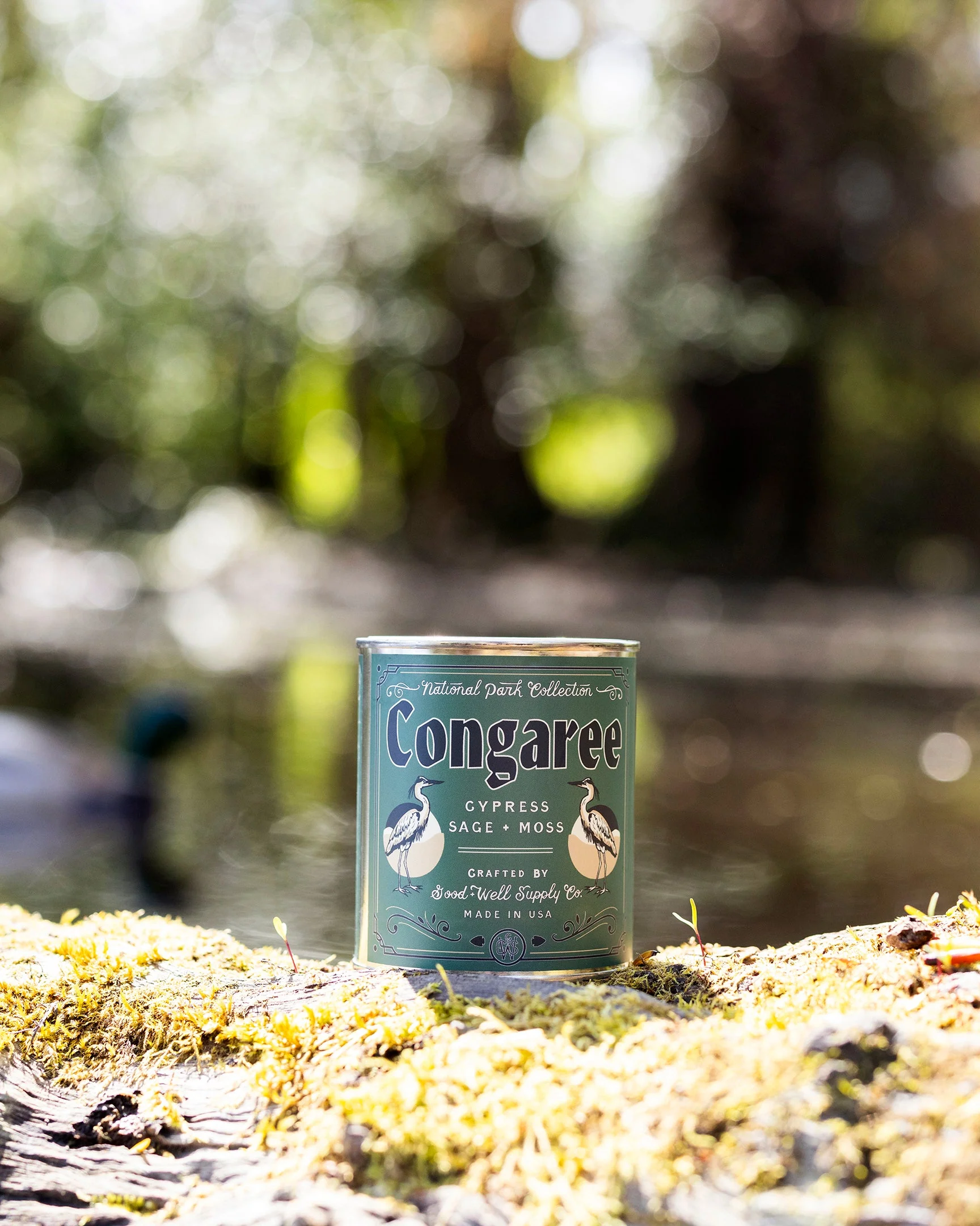 Congaree National Park Candle - Image 3