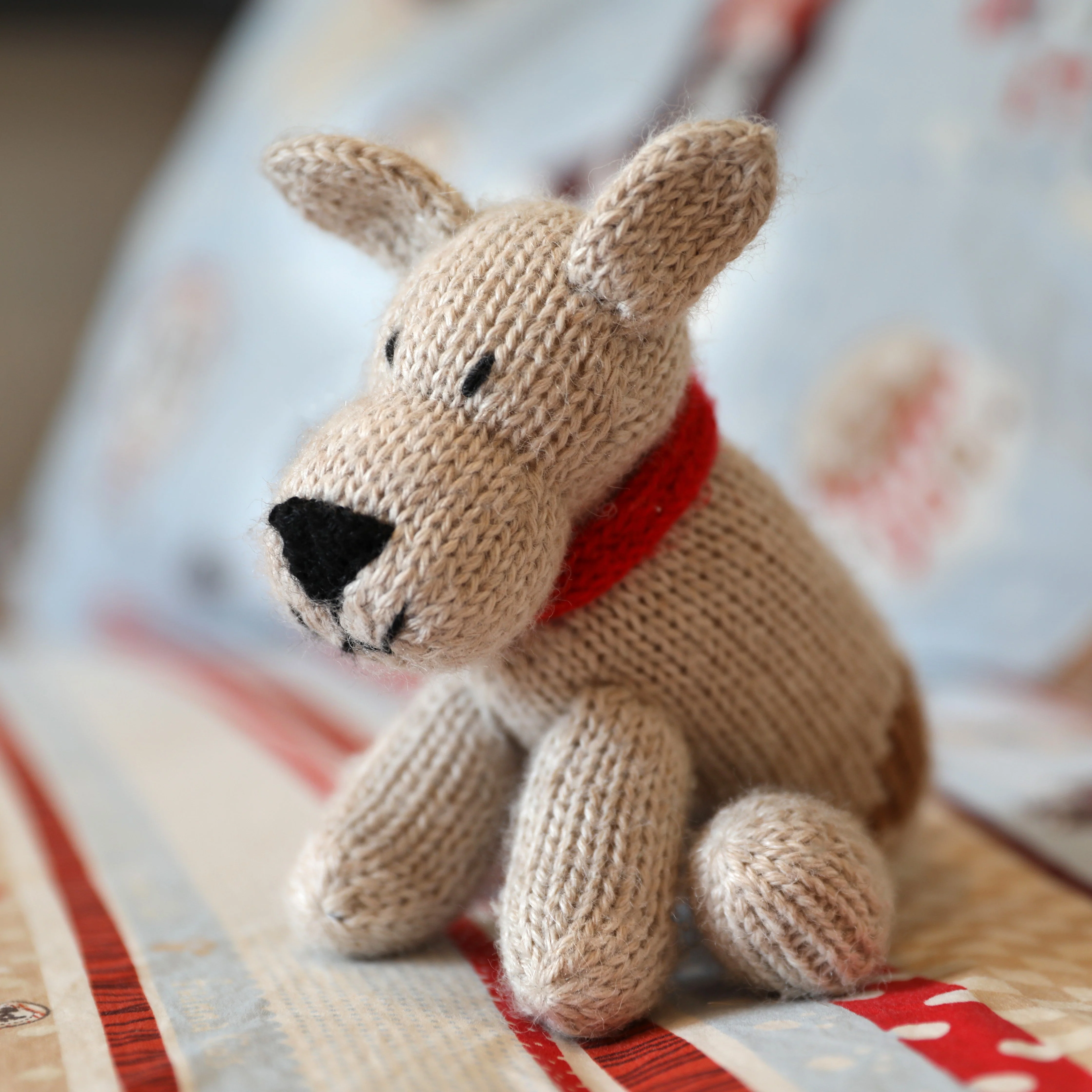 Corgi Dog - Image 4