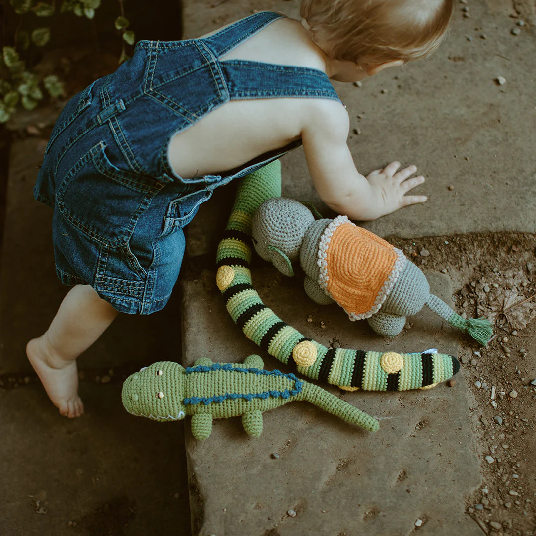 Crocodile Rattle - Image 2