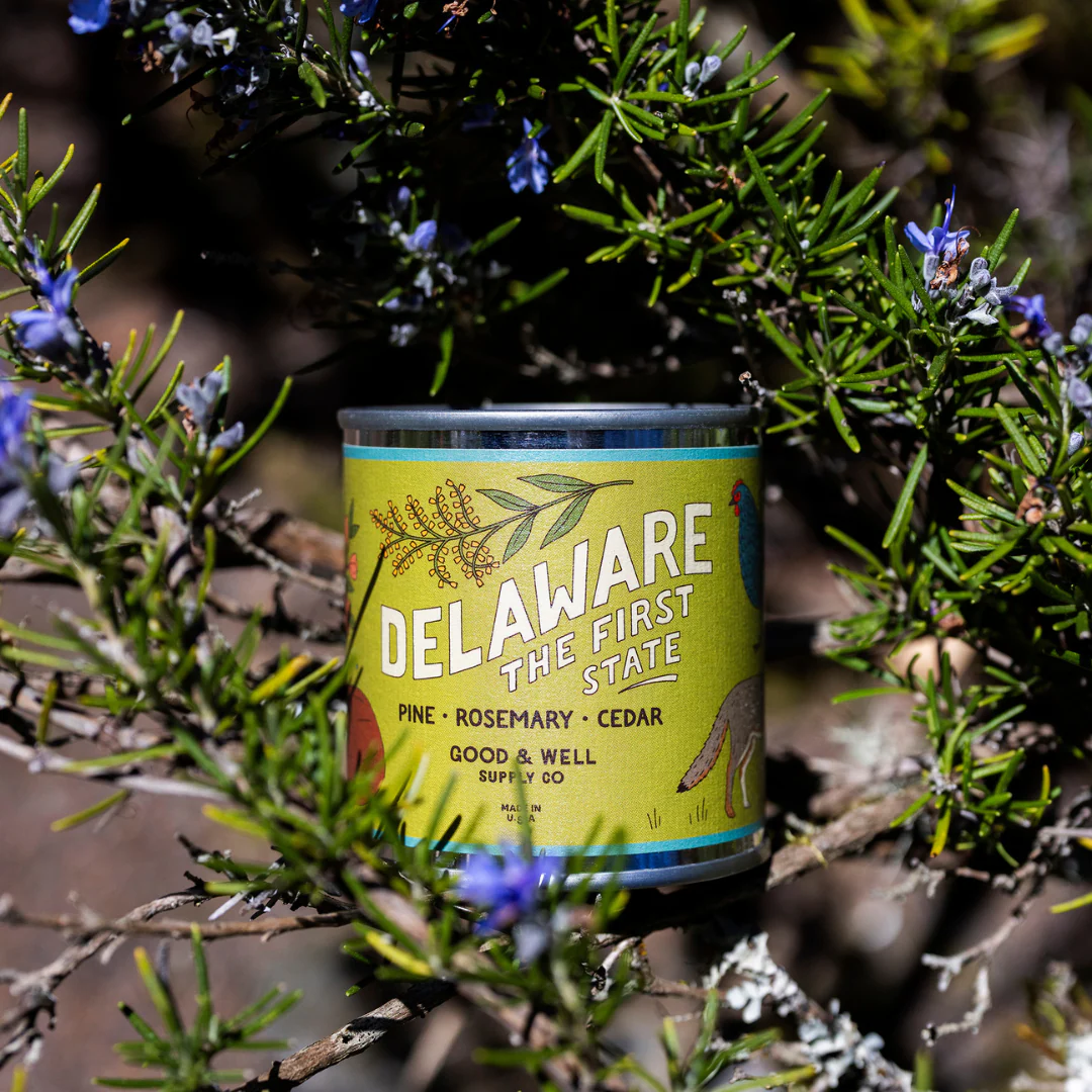 Delaware State Candle - Image 3