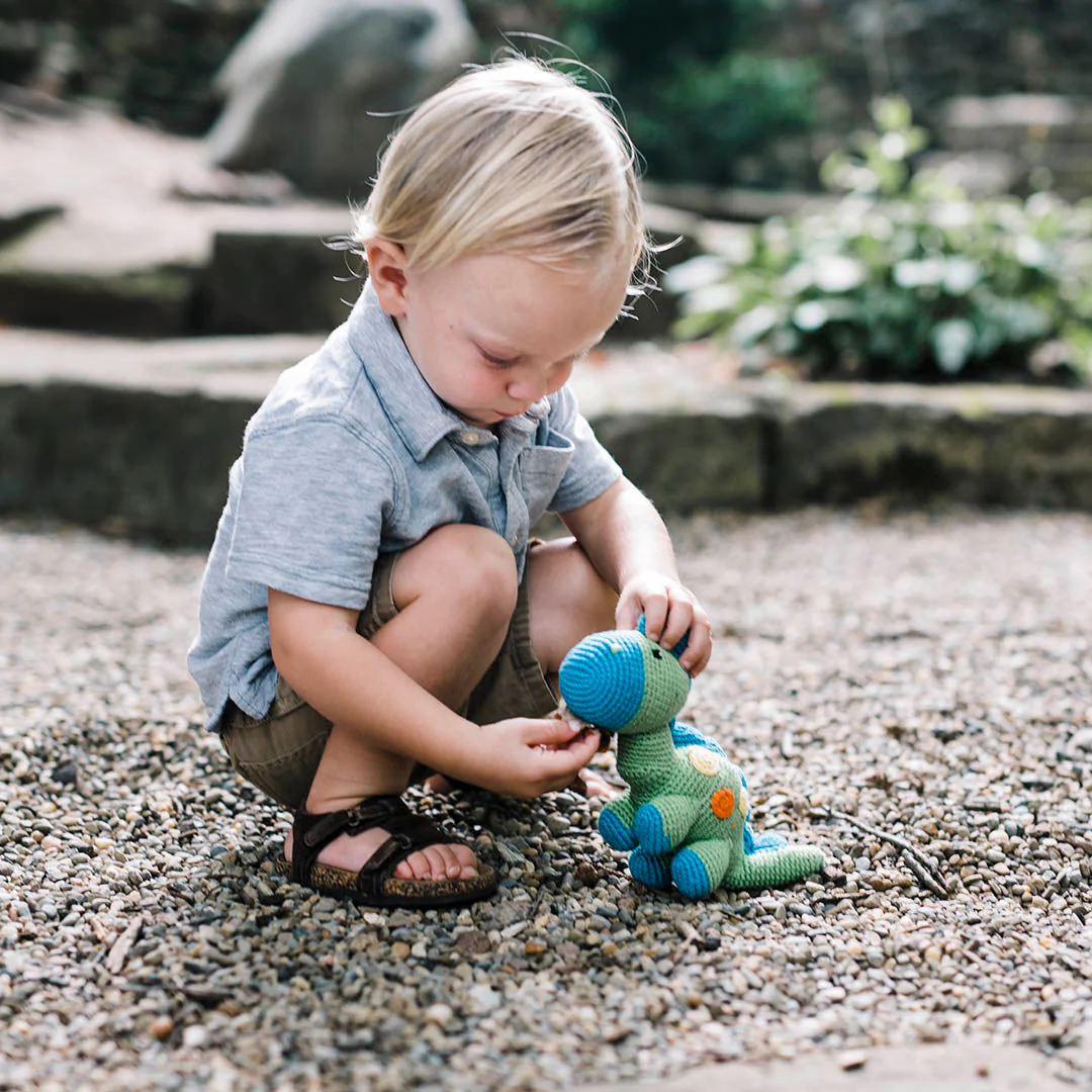 Dino Rattle - Steggy - Image 4