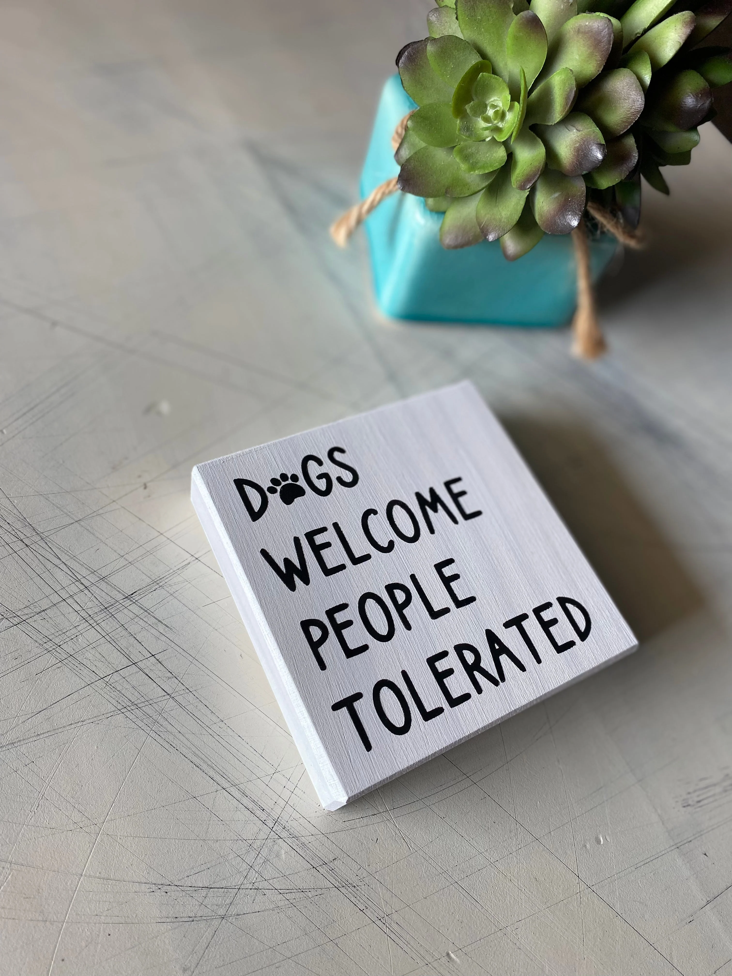 Dogs welcome people tolerated - Image 3