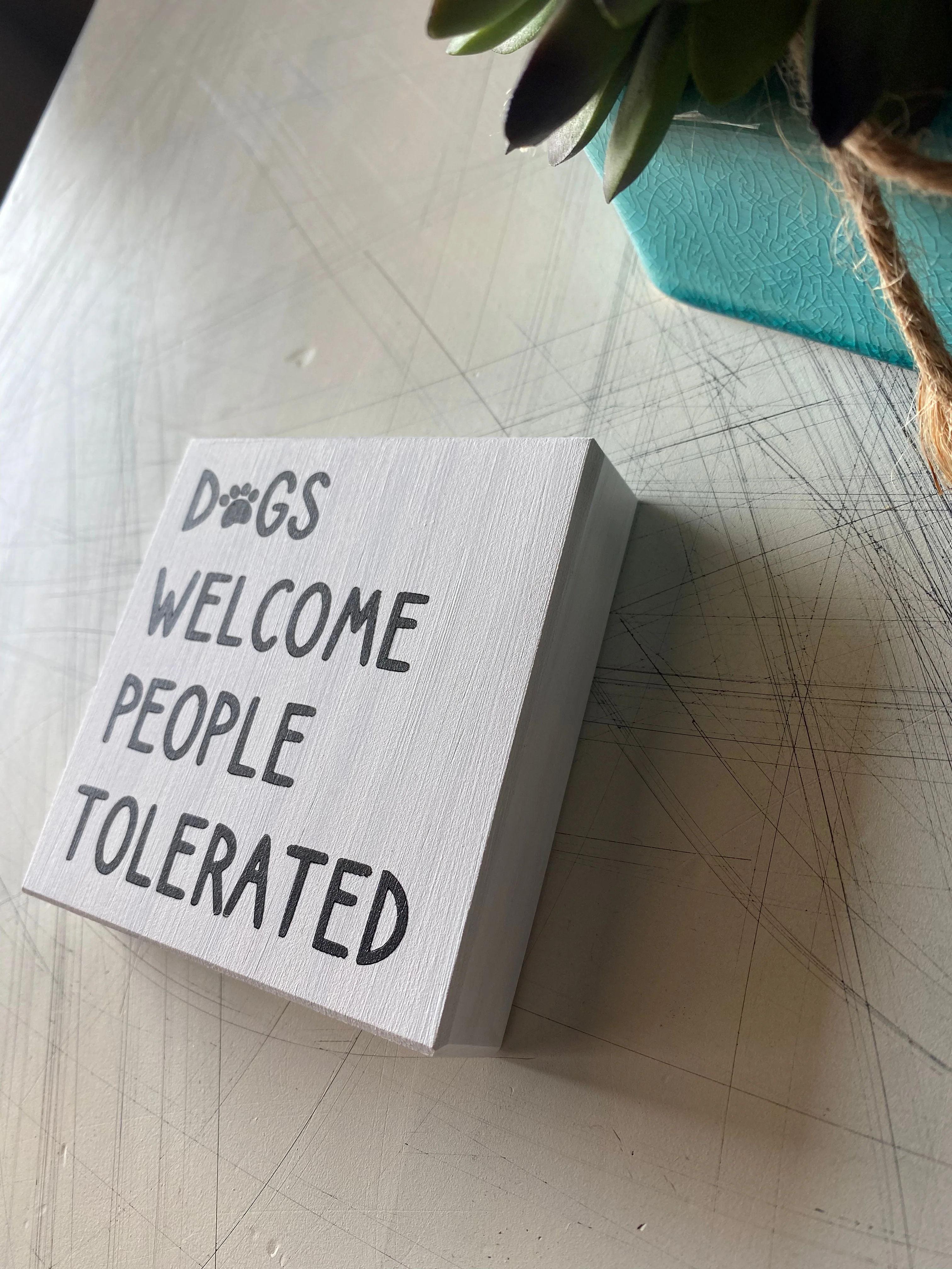 Dogs welcome people tolerated - Image 4
