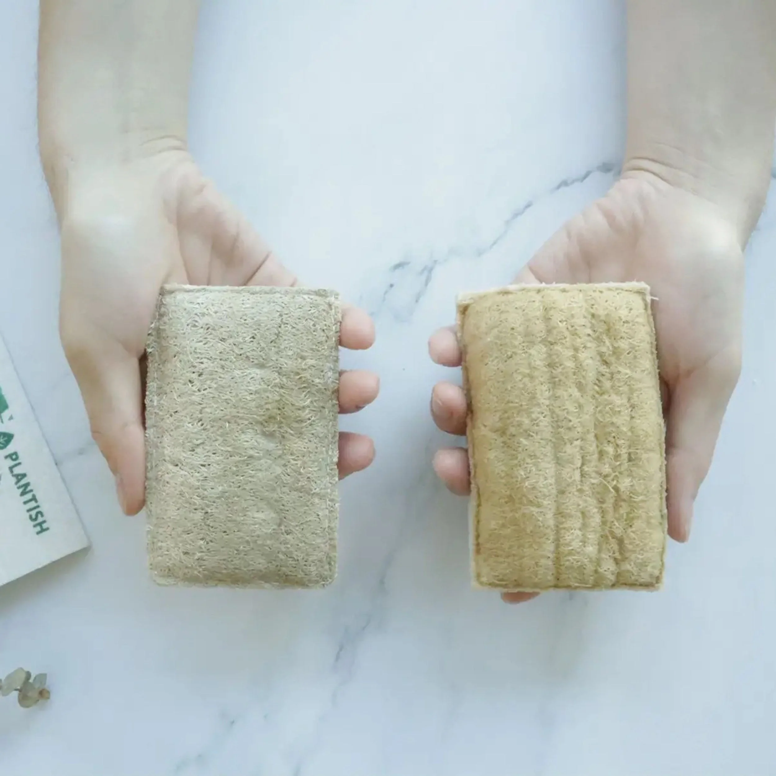 Eco Sponge Set of 2 - Image 4